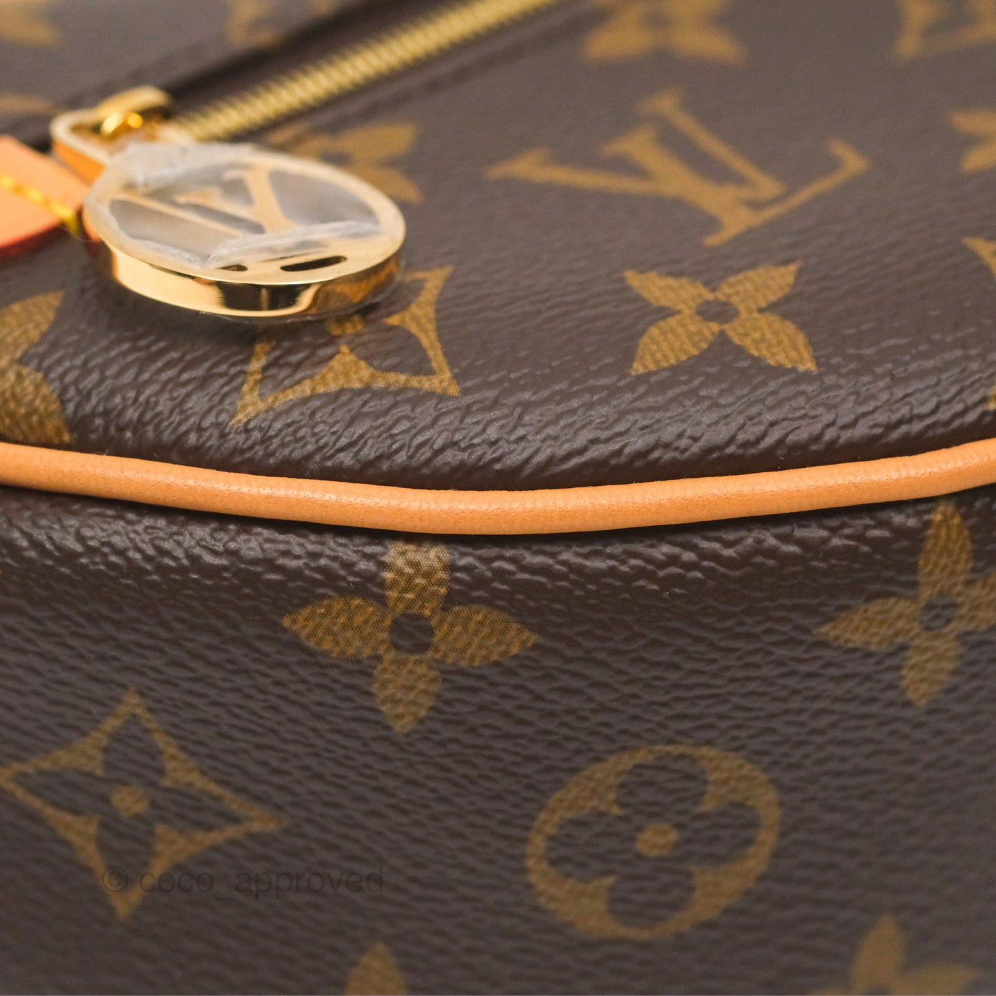 Louis Vuitton Loop Monogram Canvas