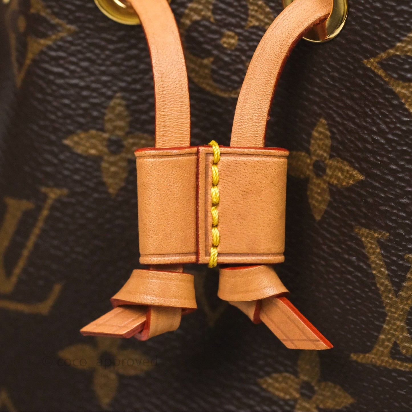 Louis Vuitton Nano Noe Monogram