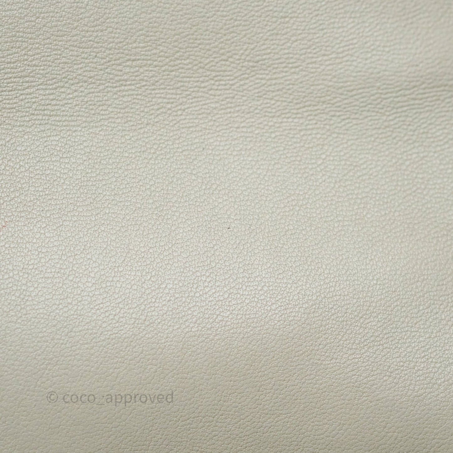 Chanel 19 Small Sage Grey Mixed Hardware