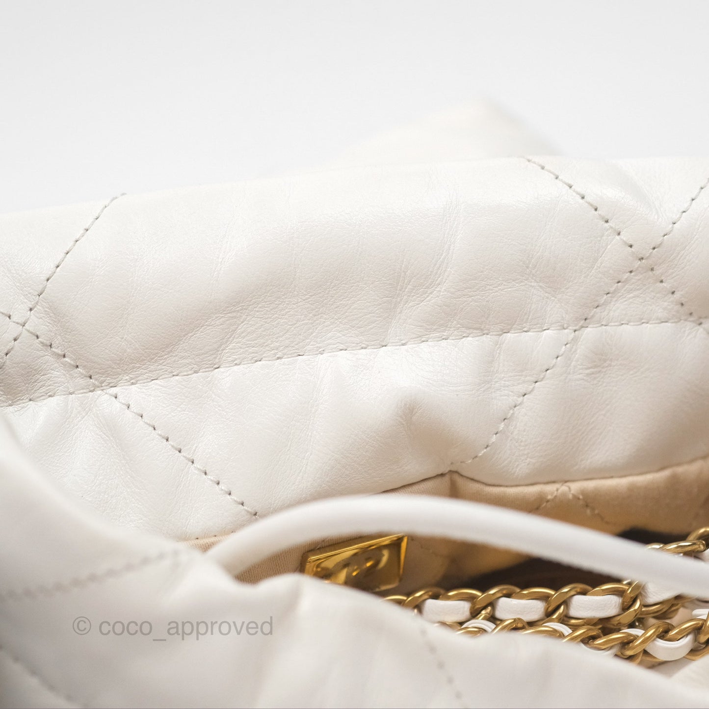 Chanel 22 Mini Bag White Crumpled Calfskin