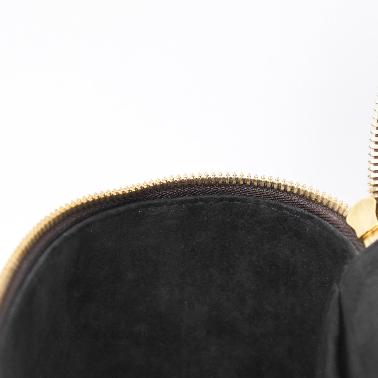 Louis Vuitton Reverse Monogram Vanity PM
