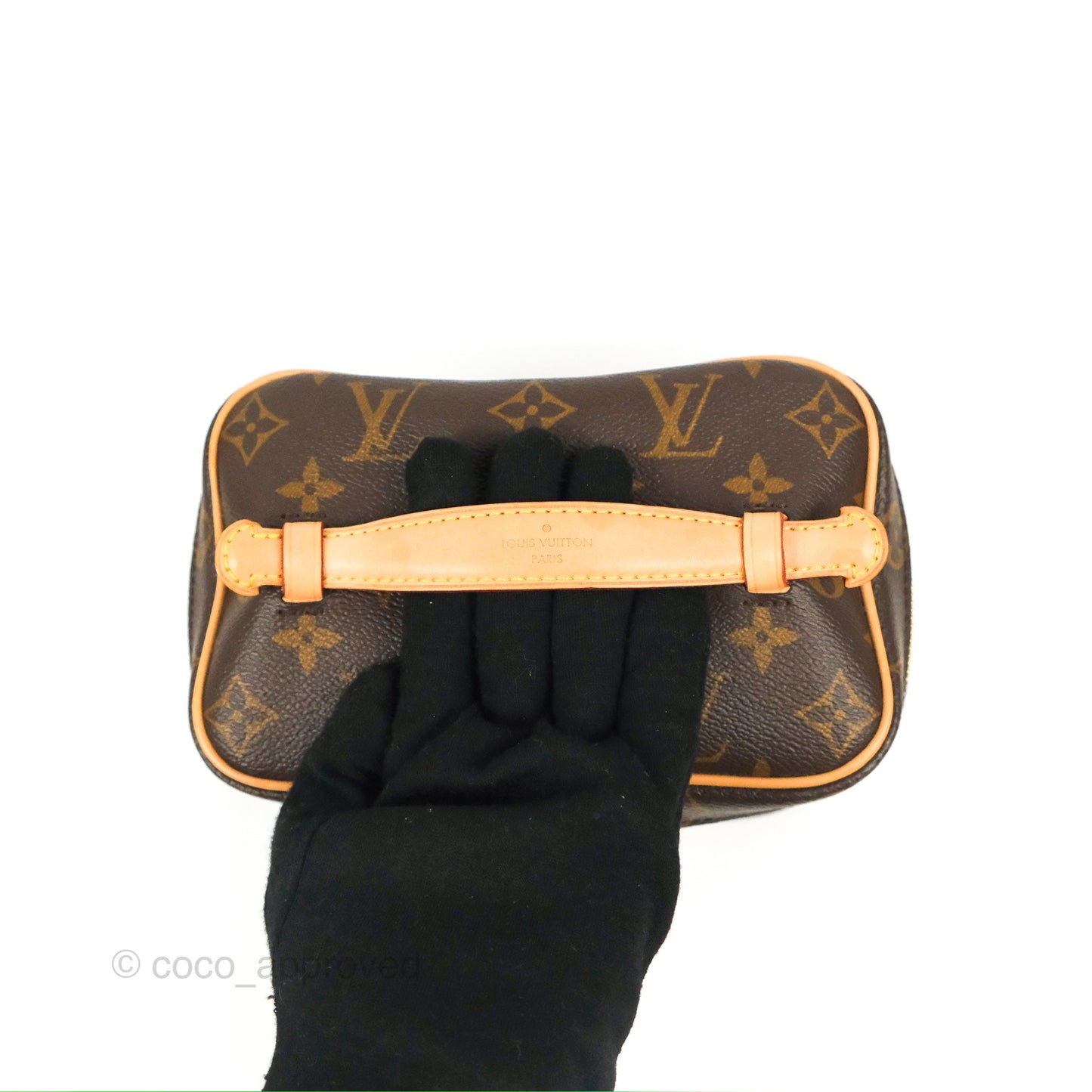 Louis Vuitton Nice Mini Monogram Canvas