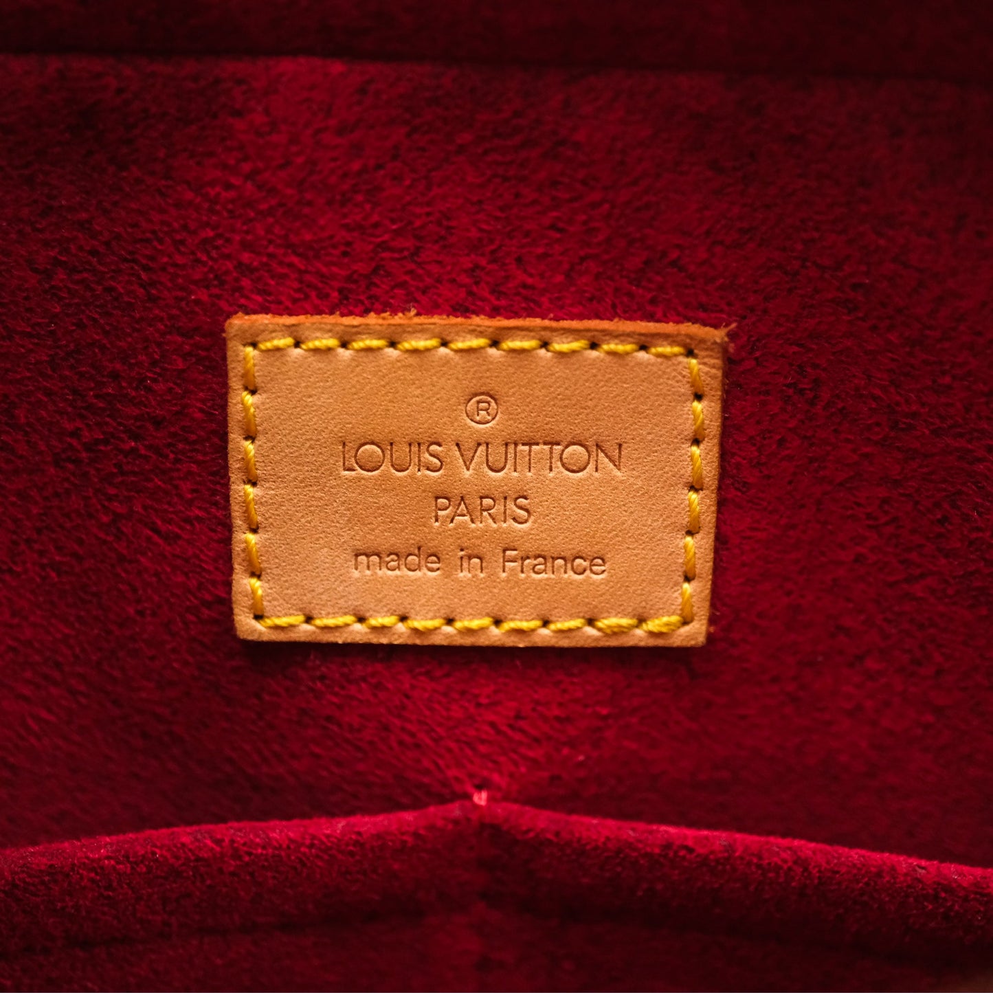 Louis Vuitton Multipli-Cite Tote Monogram Canvas