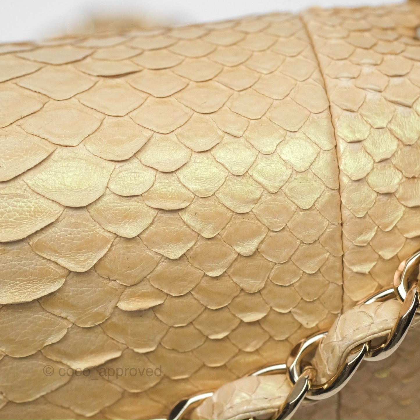 Chanel Jumbo Double Flap Iridescent Gold Python Gold Hardware⁣⁣