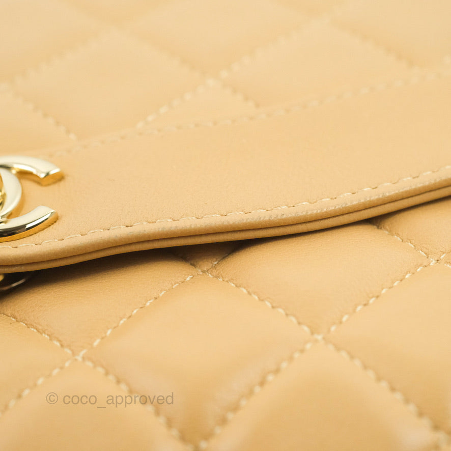 Chanel Calfskin Coco Vintage Camera Case Beige Gold Hardware