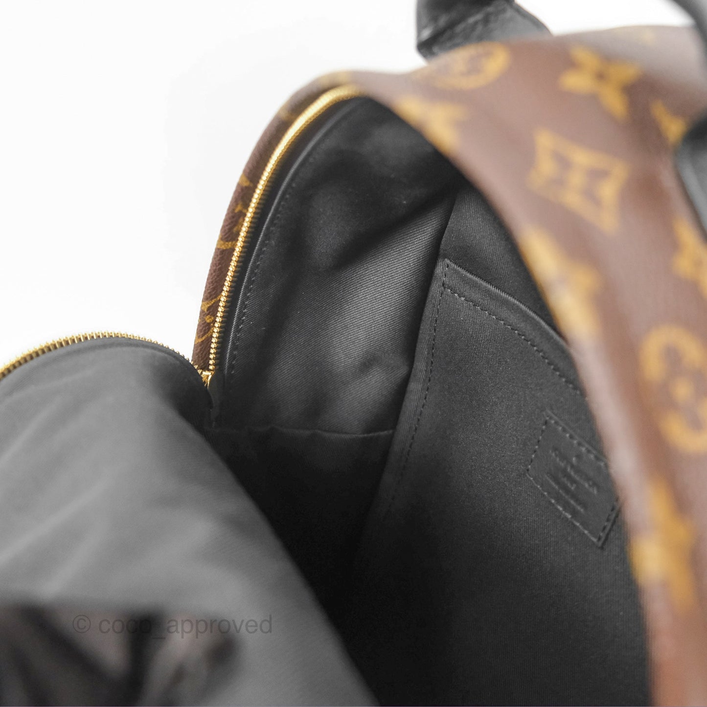 Louis Vuitton Palm Springs Backpack⁣ Monogram PM