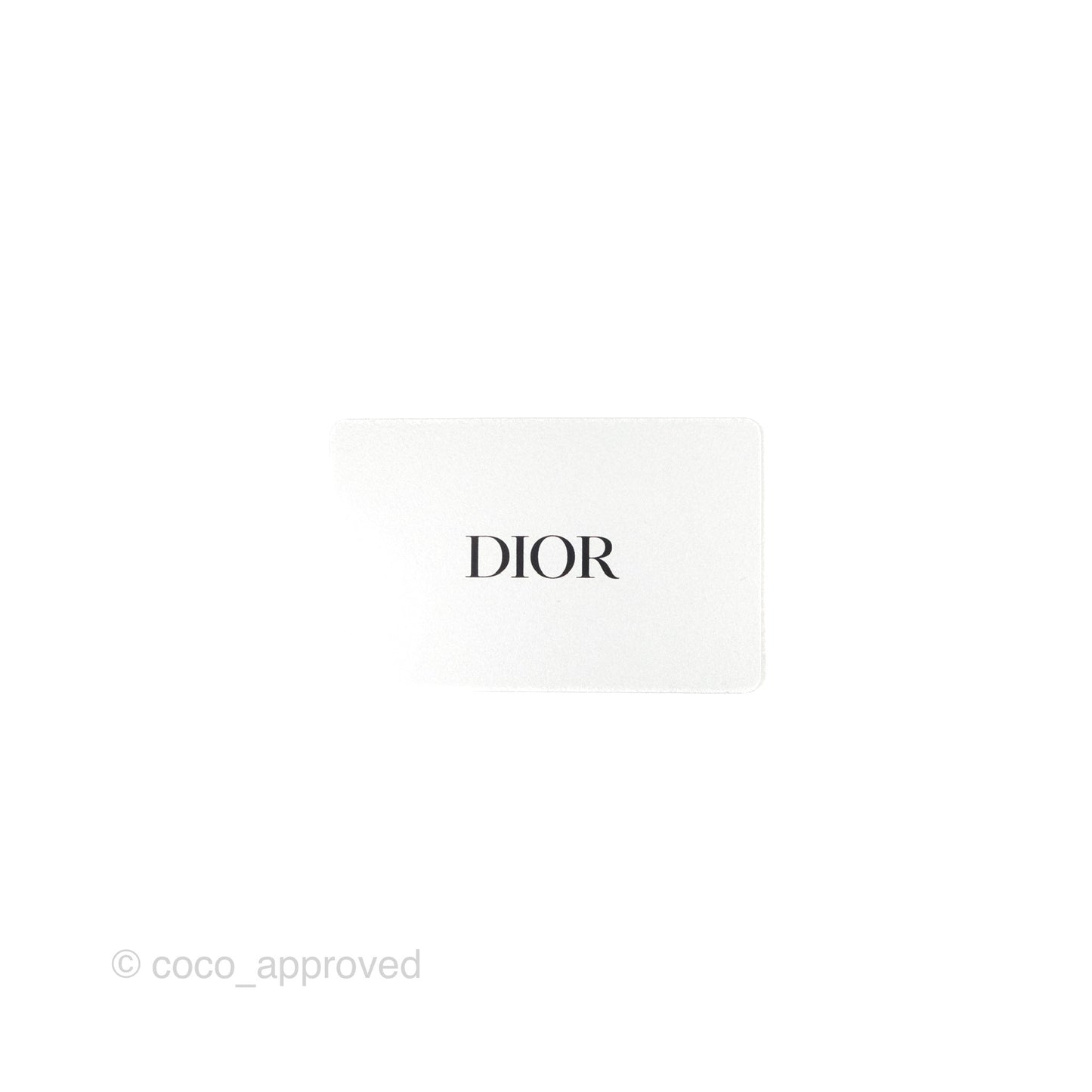 Christian Dior Large Zodiac Book Tote Bag