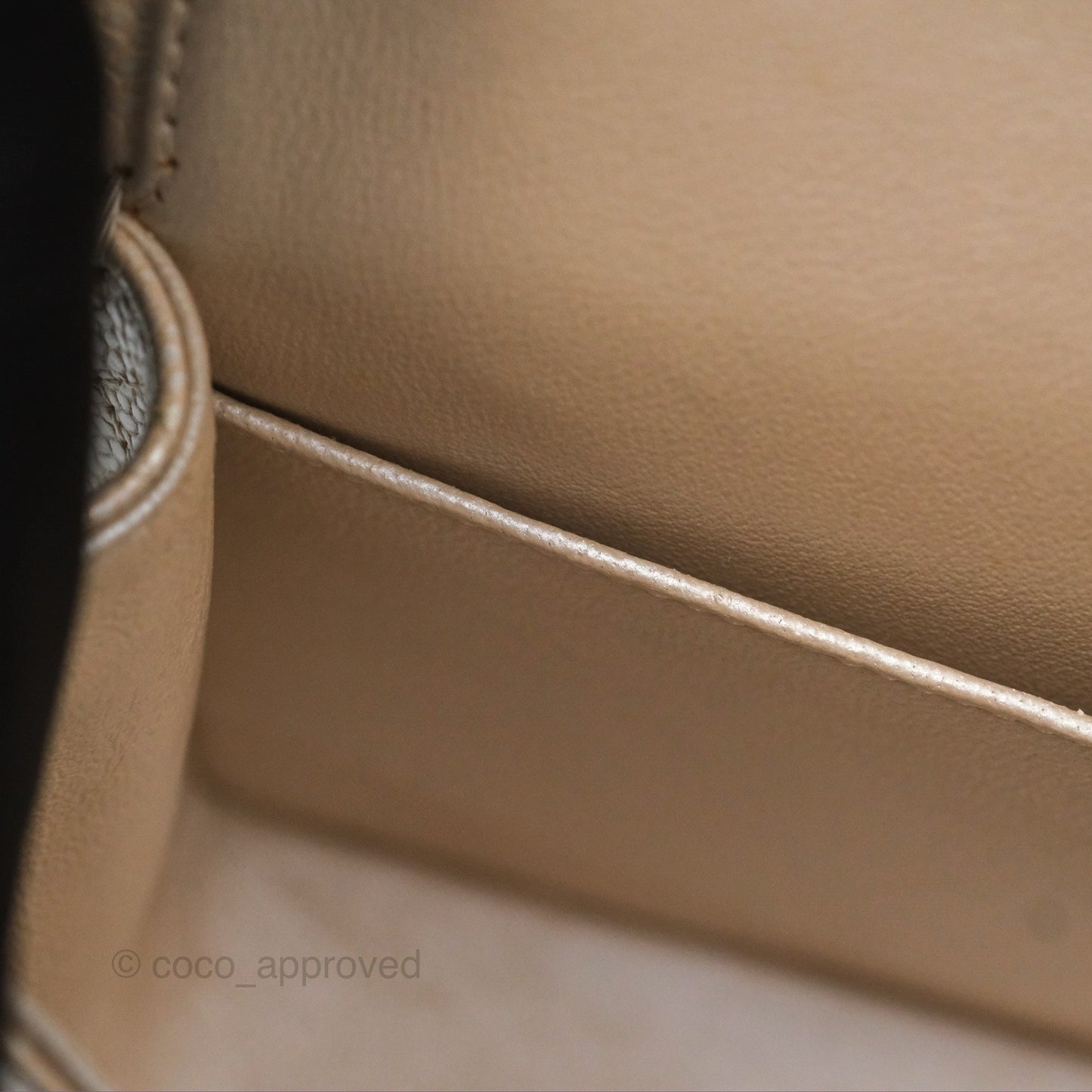 Chanel Classic M/L Medium Double Flap Iridescent Pearly Caviar Aged Gold Hardware⁣⁣