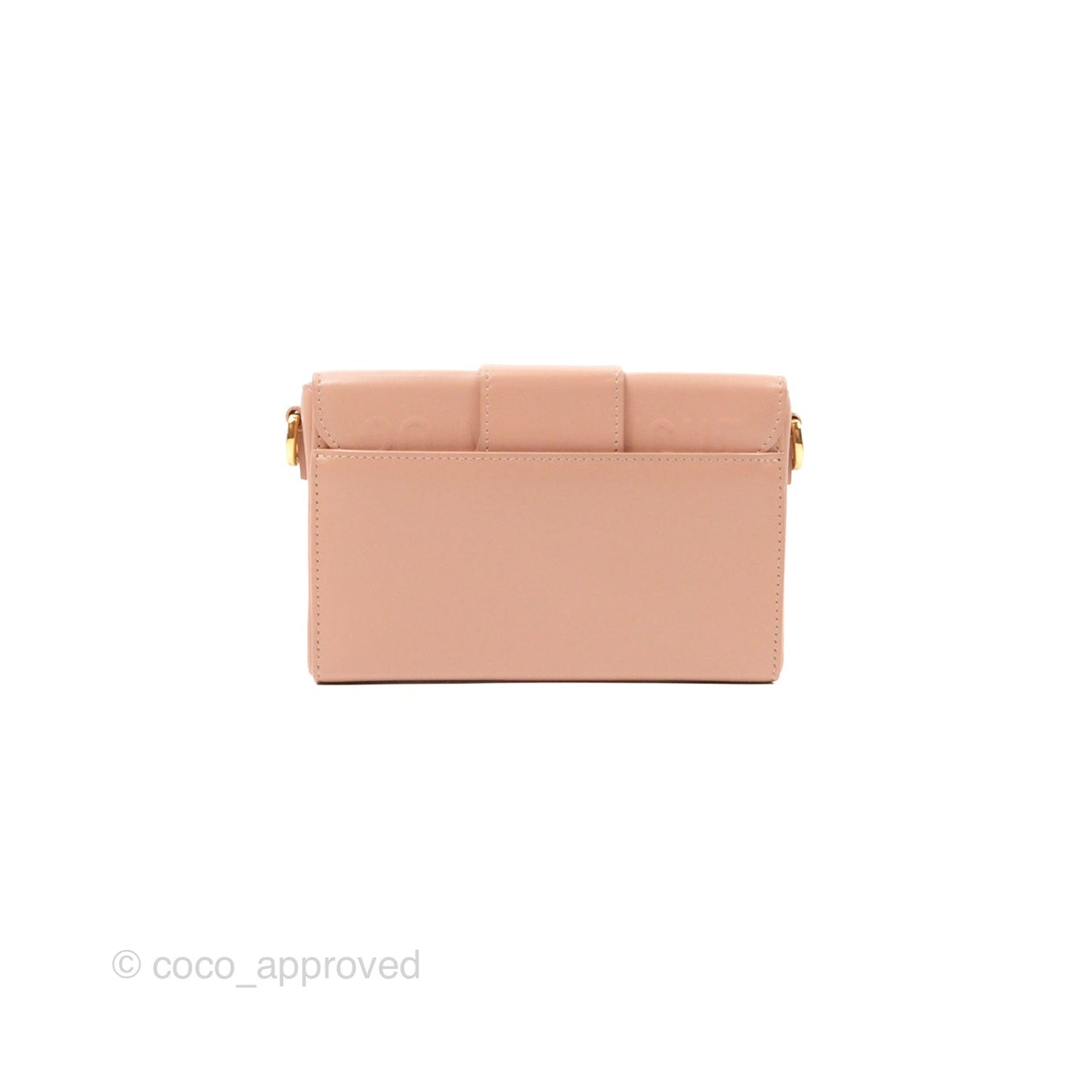 Christian Dior 30 Montaigne Rose Des Vents Calfskin Box Bag