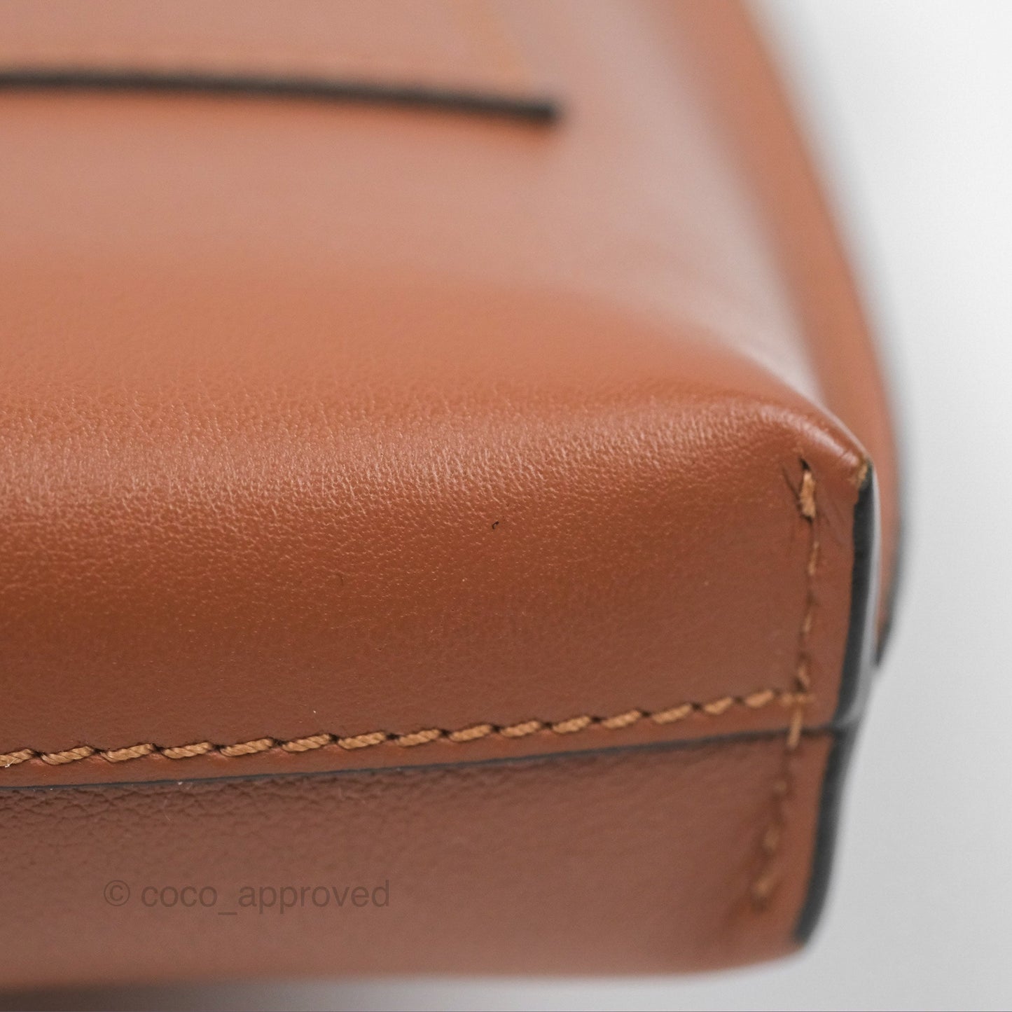 Loewe Elephant Pocket in Classic Calfskin Tan