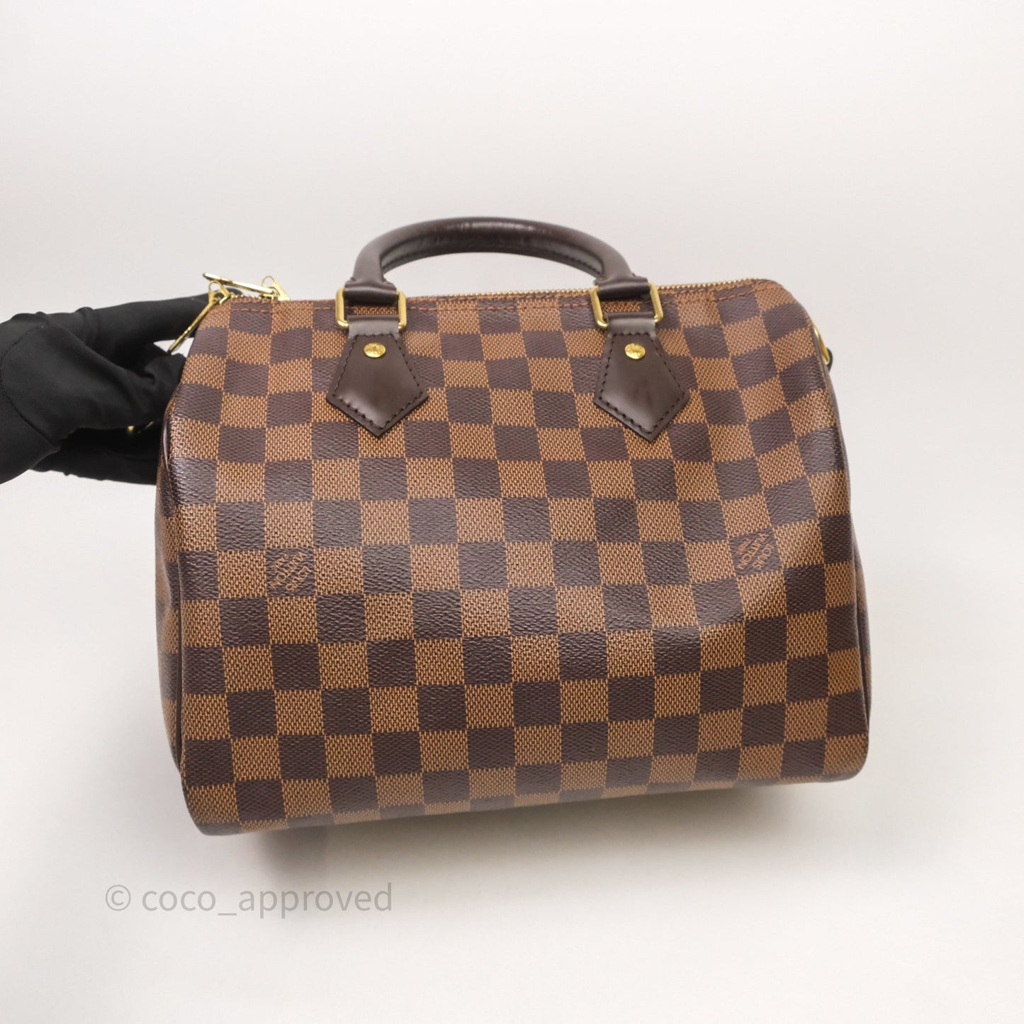 Louis Vuitton Speedy 25 Damier Canvas Gold Hardware