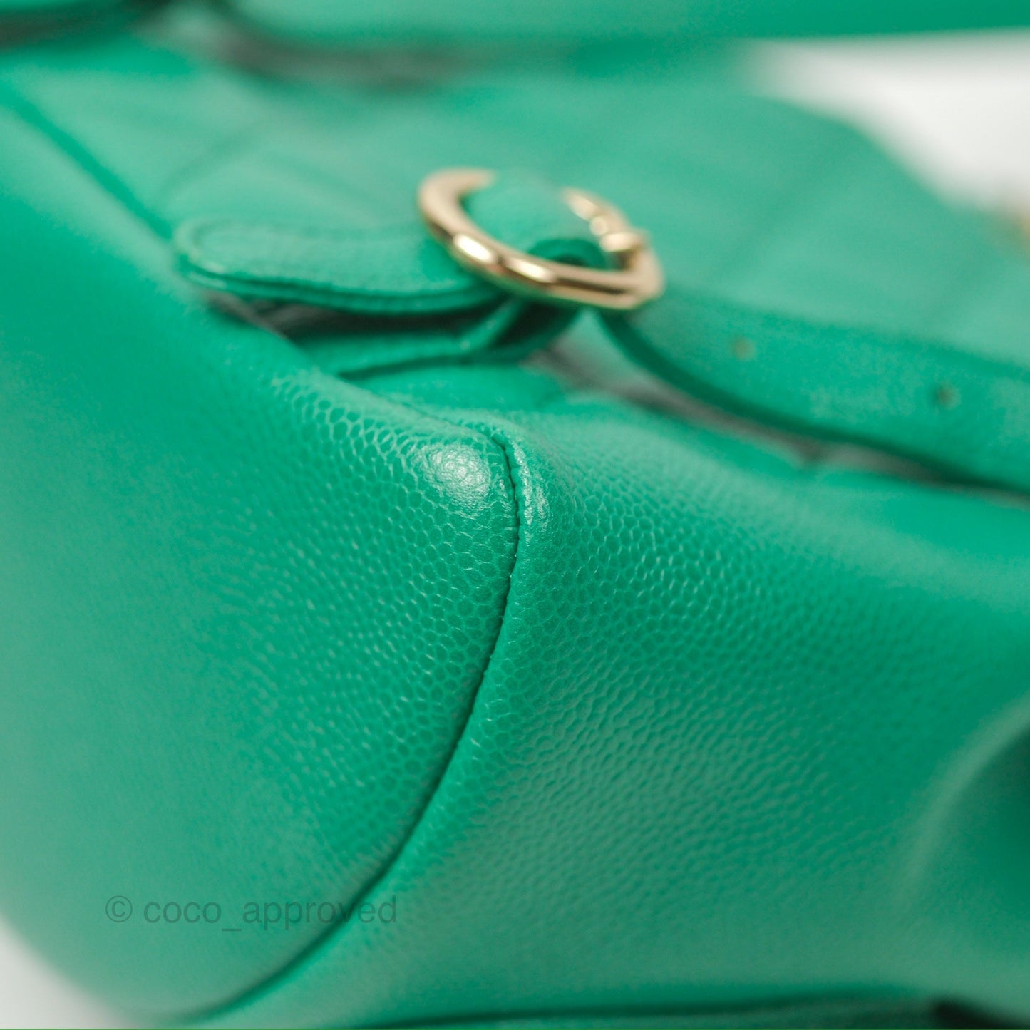 Chanel Duma Backpack Small Green Caviar Gold Hardware 23P