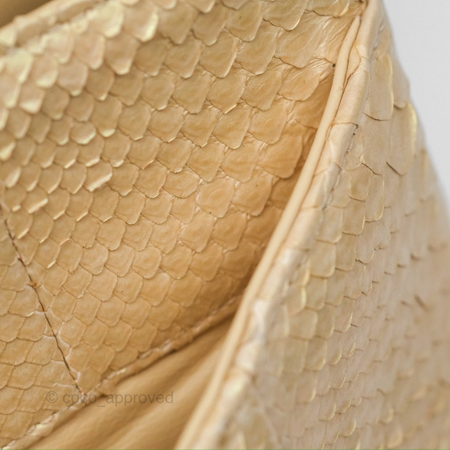 Chanel Jumbo Double Flap Iridescent Gold Python Gold Hardware⁣⁣