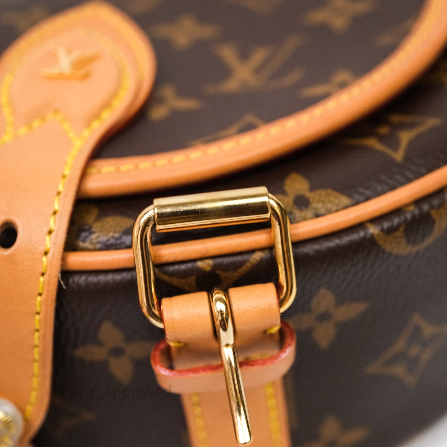 Louis Vuitton Tambourin Monogram Canvas Bag