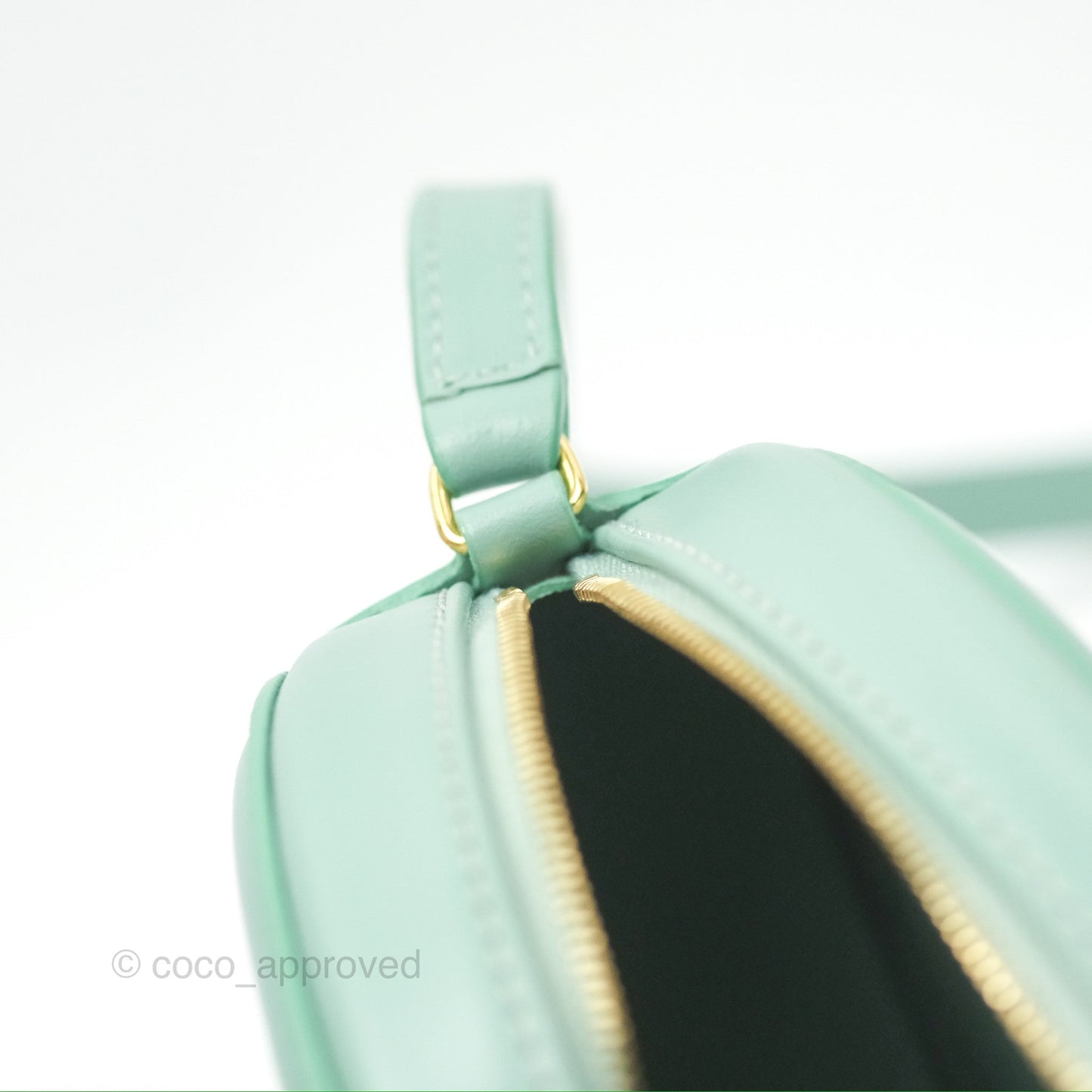 Celine Oval Bag Cuir Triomphe Ice Mint Calfskin