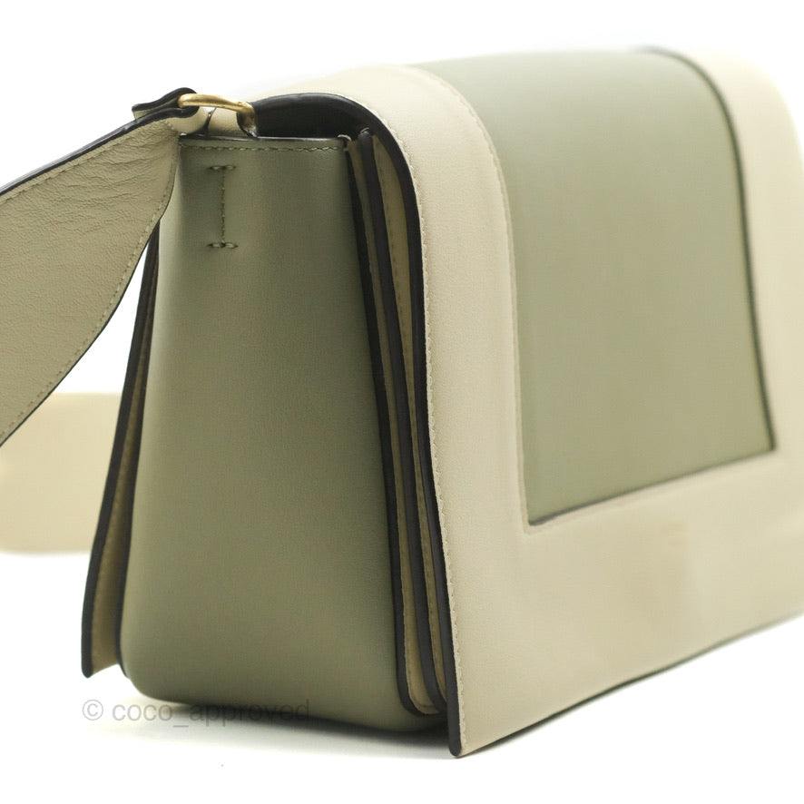 Celine Frame Bag Light Green