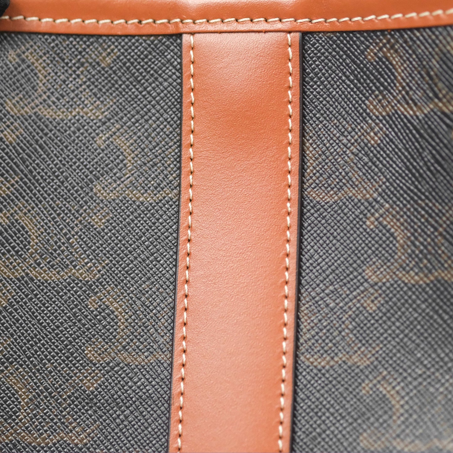 Celine Small Bucket Triomphe Canvas Tan Calfskin