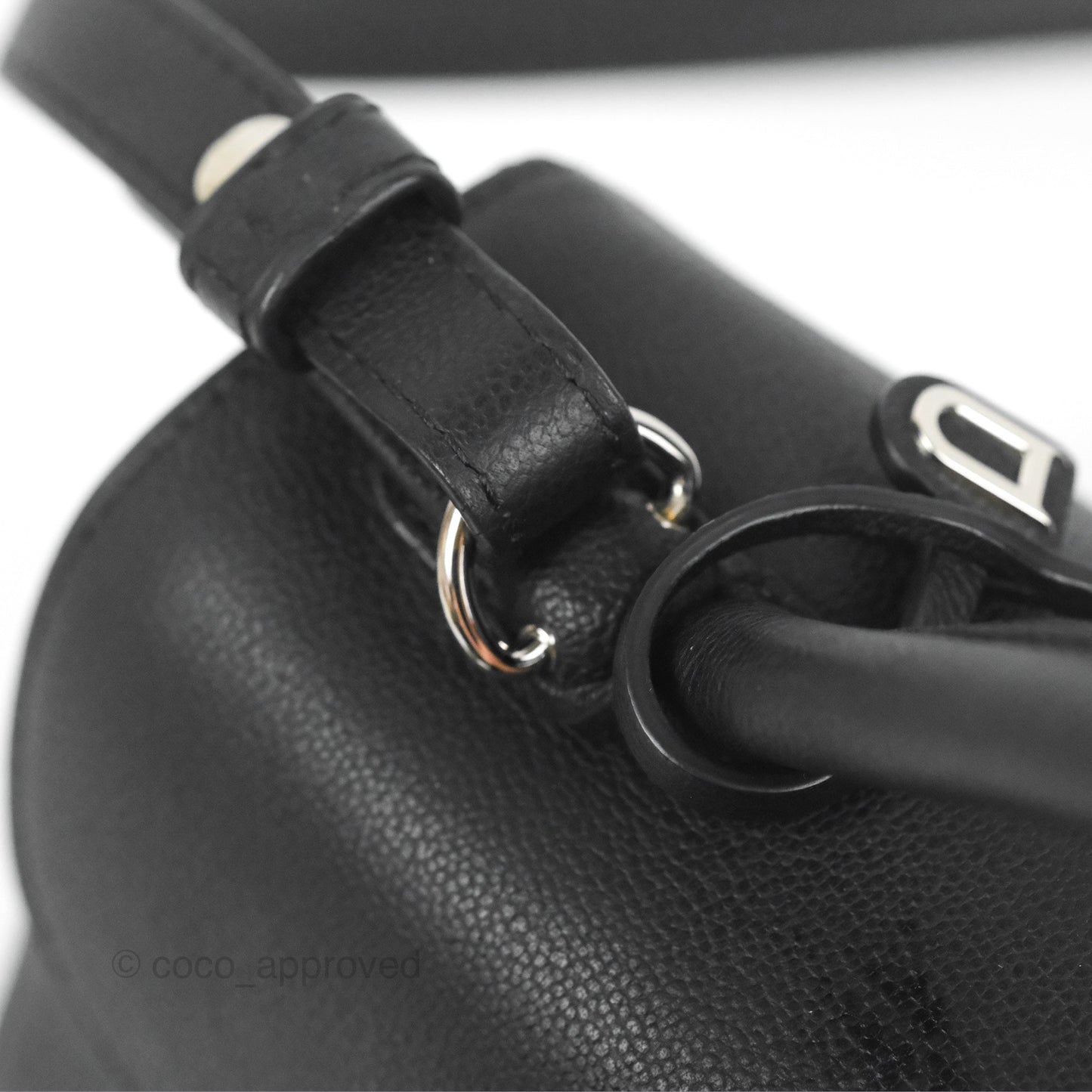 Delvaux Mini Brillant Bag Vegetal Rodeo Black Calf Silver Hardware