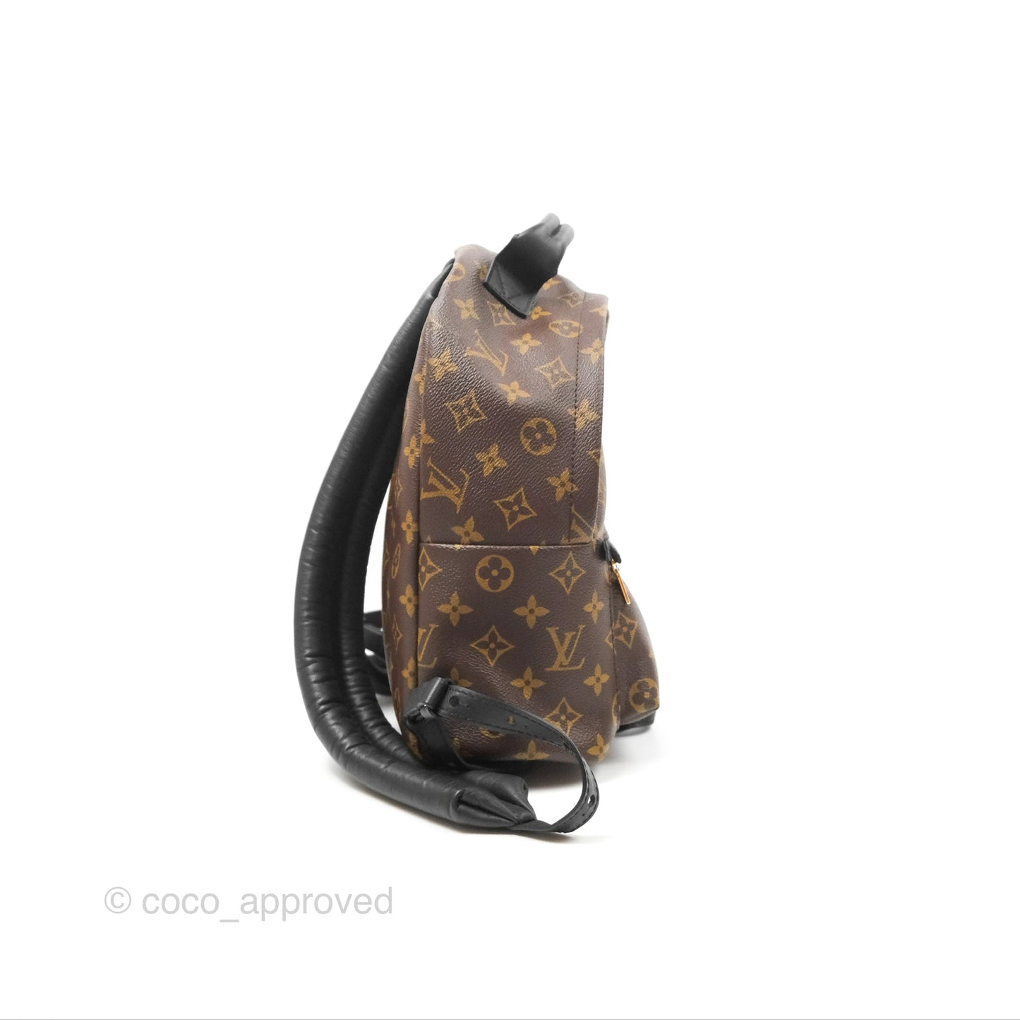 Louis Vuitton Palm Springs Backpack⁣ Monogram PM