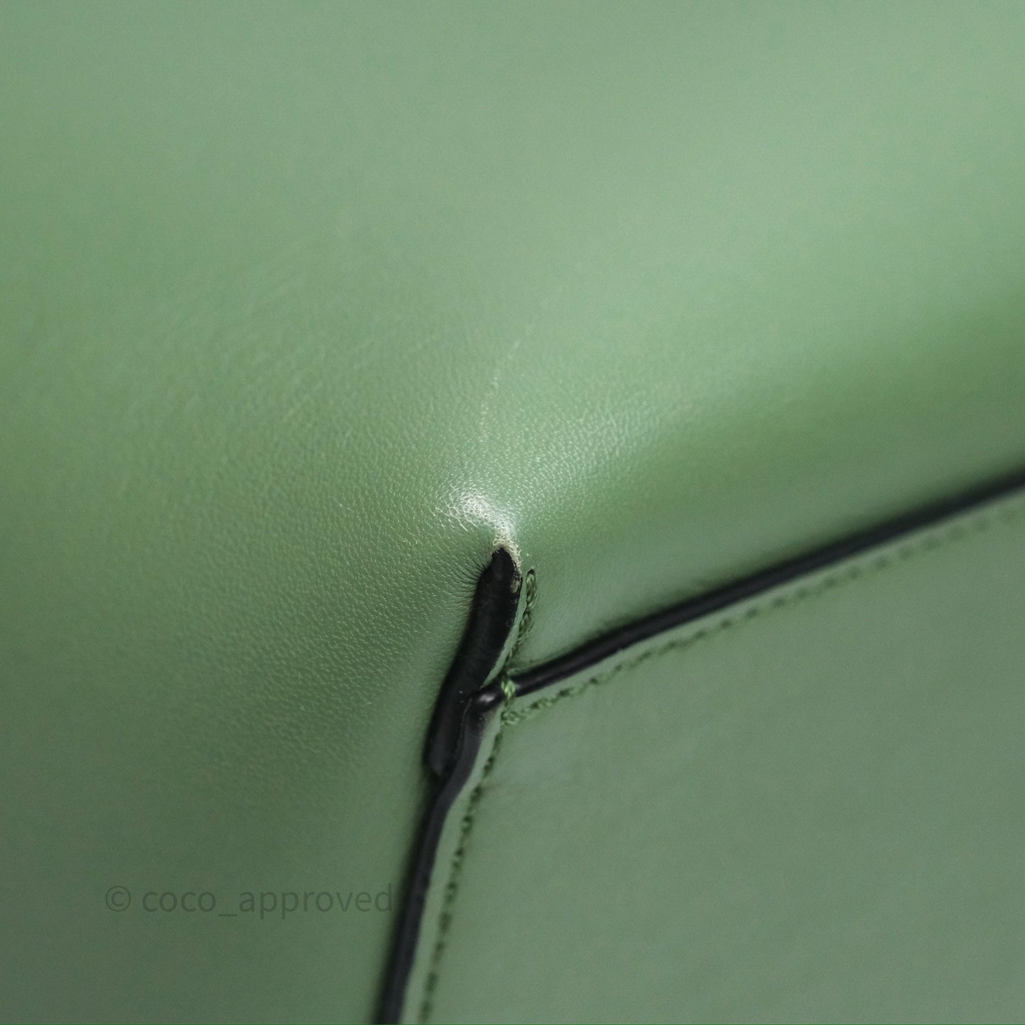 Loewe Small Anagram Tote In Rosemary Green Calfskin