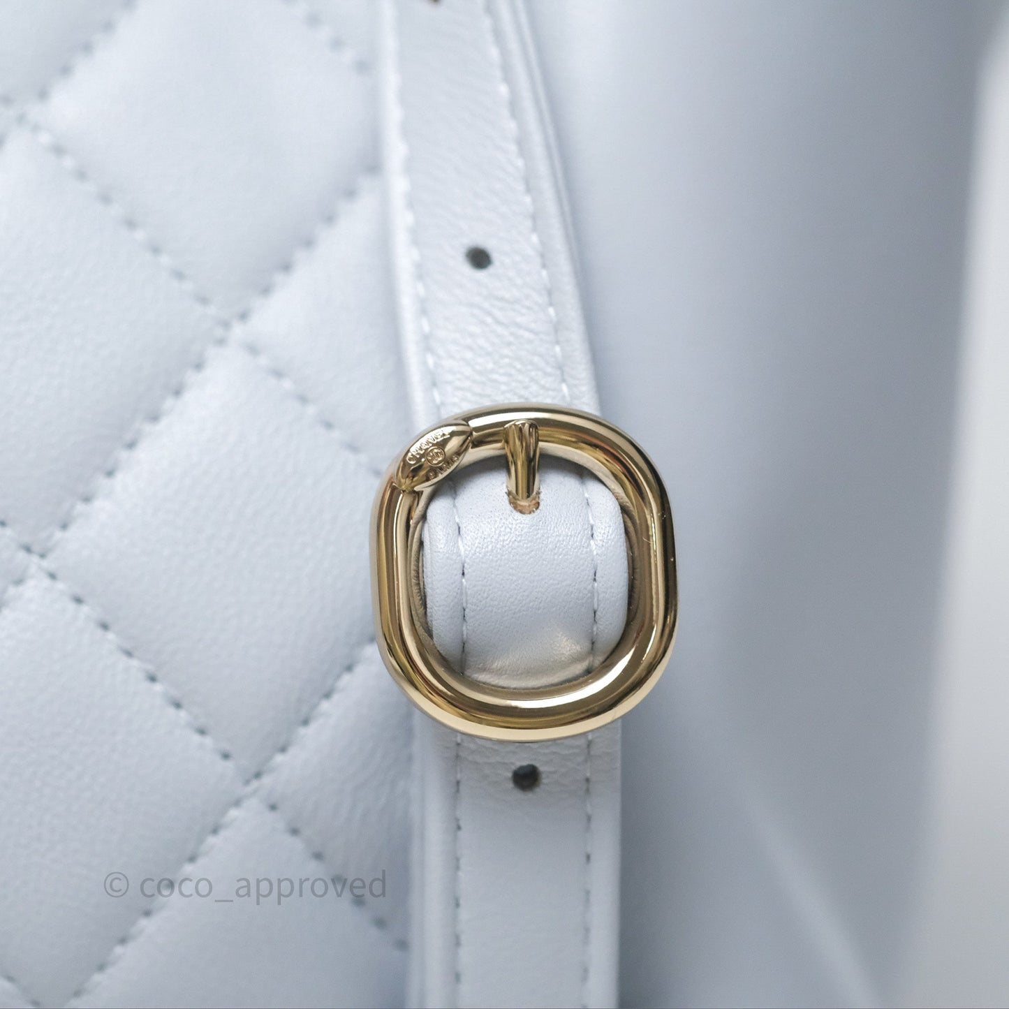 Chanel Quilted Large Duma Drawstring Backpack Light Blue Calfskin
