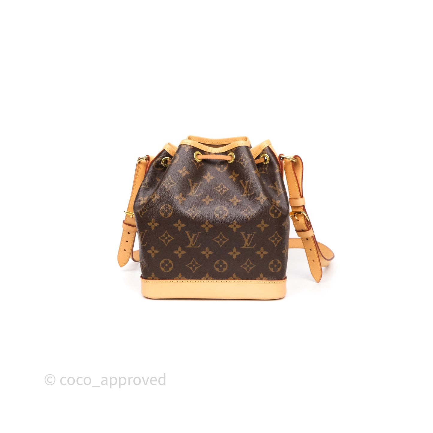 Louis Vuitton Noé BB Monogram Canvas