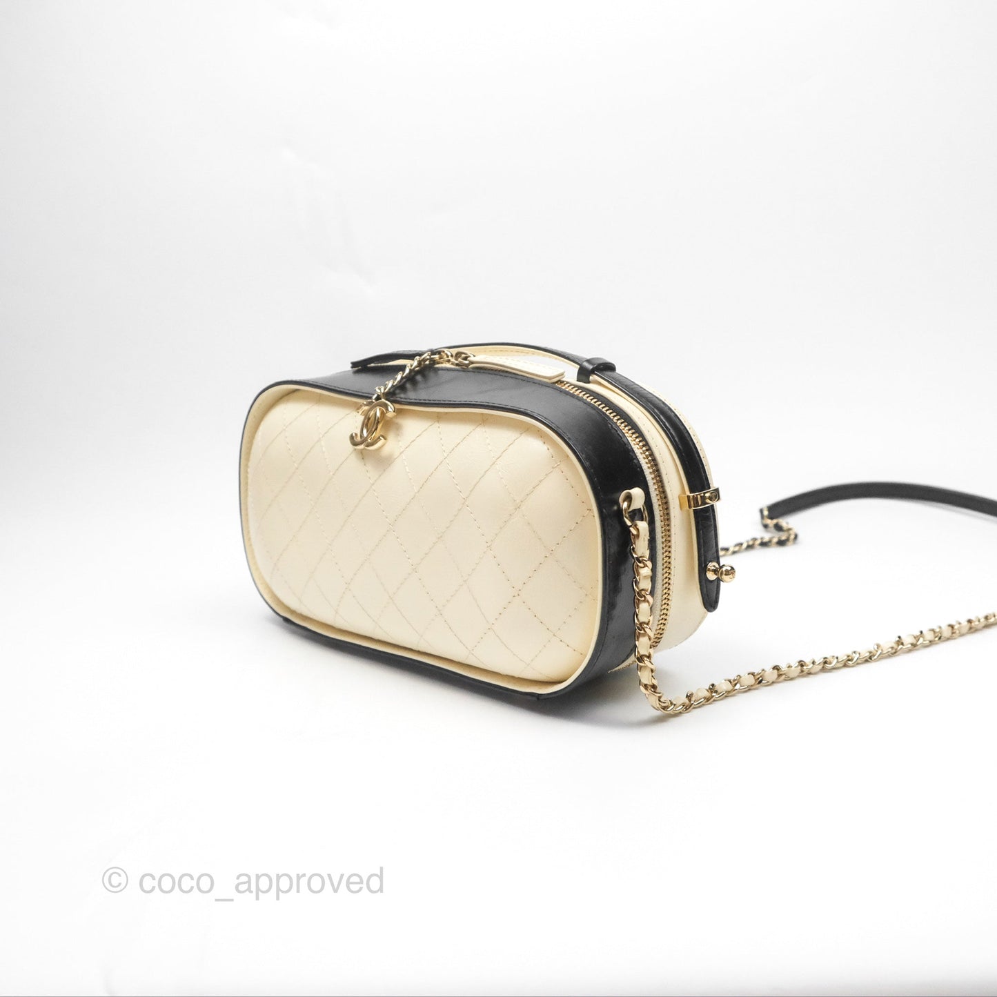 Chanel Camera Case Bag Black/White Calfskin Gold Hardware