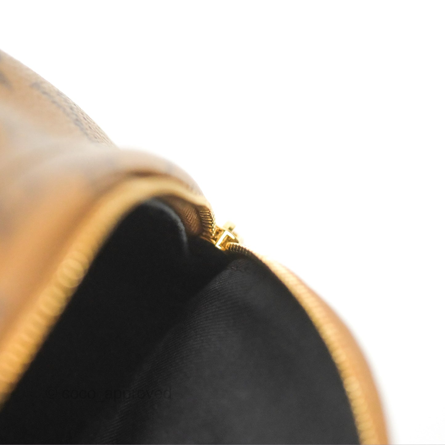 Louis Vuitton Reverse Mini Palm Springs Backpack⁣
