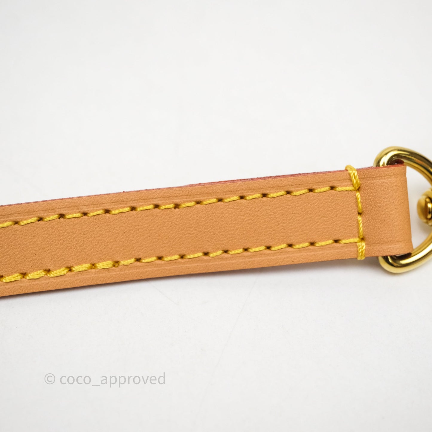 Louis Vuitton Nano Speedy Monogram