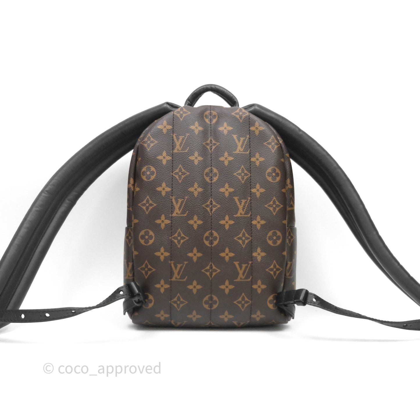 Louis Vuitton Palm Springs Backpack⁣ Monogram PM
