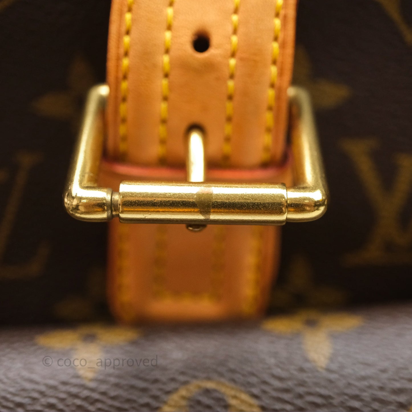 Louis Vuitton Multipli-Cite Tote Monogram Canvas