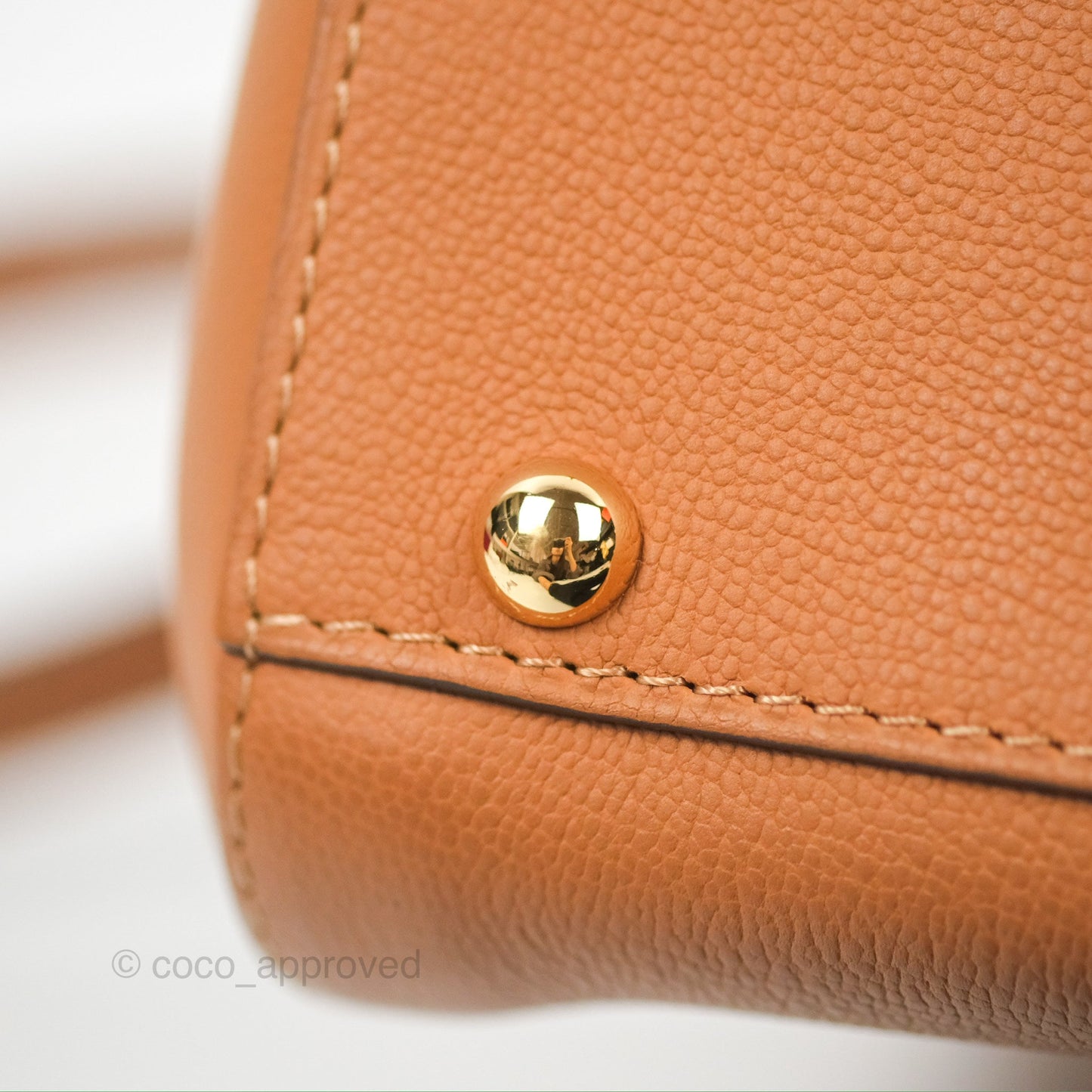 Delvaux Mini Brillant Bag Vegetal Rodeo Calf Gold Hardware