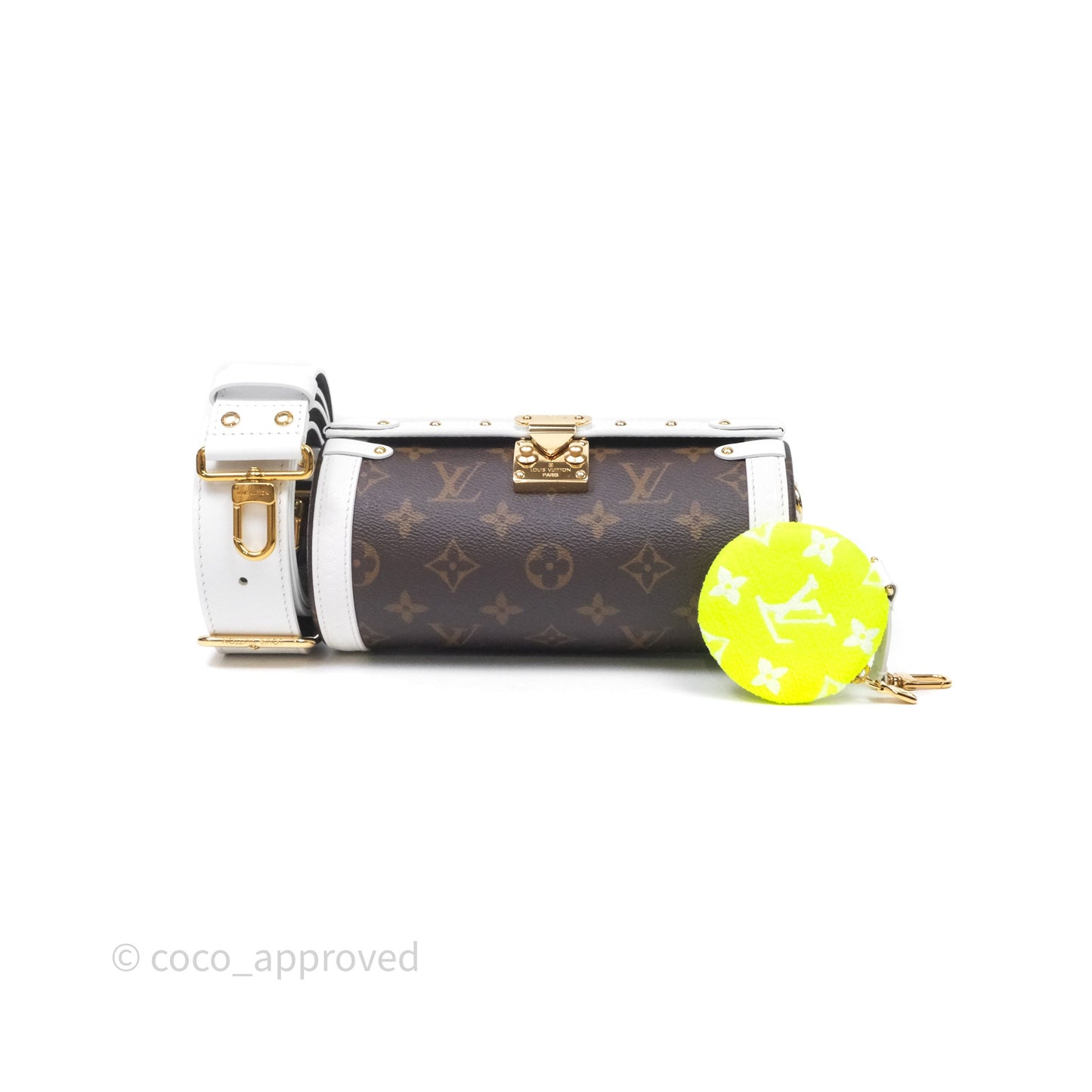 Louis Vuitton Monogram Papillon Trunk Bag