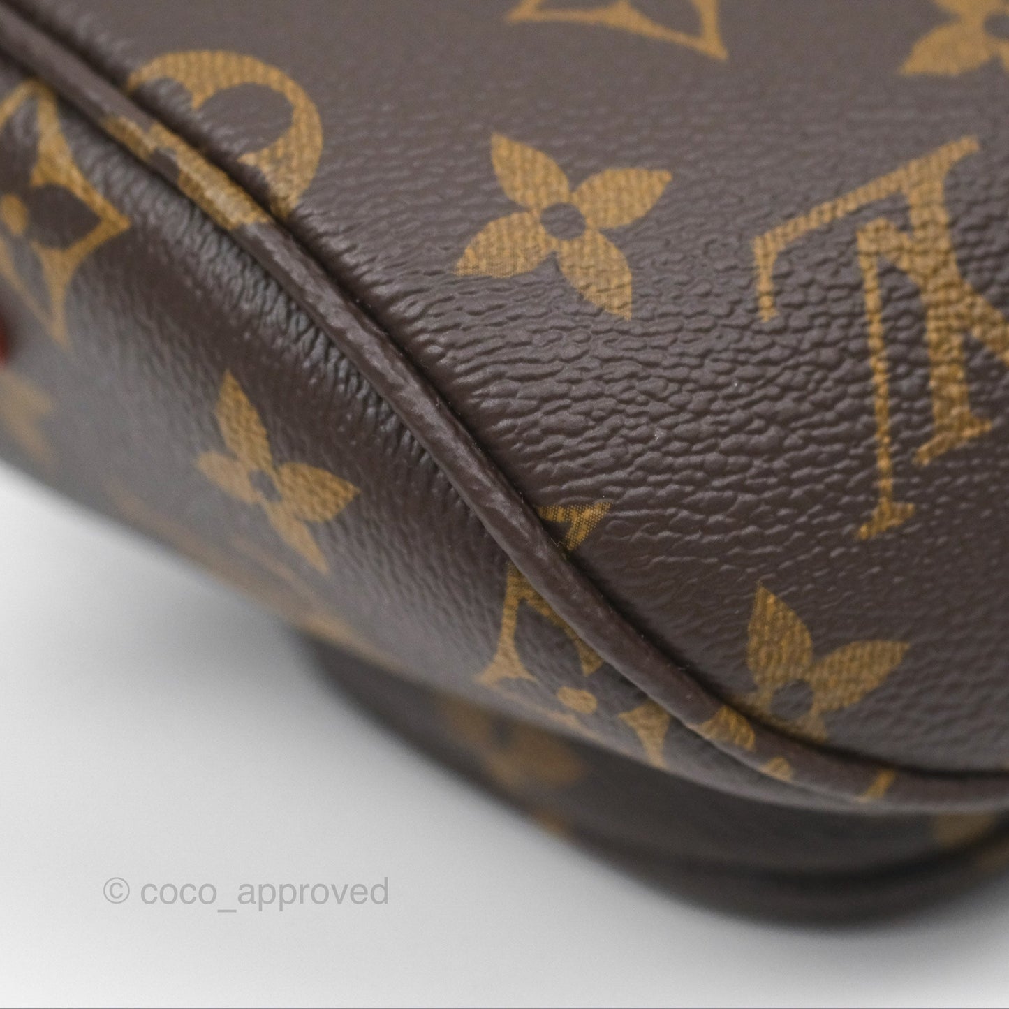 Louis Vitton Mini Bumbag in Monogram Canvas