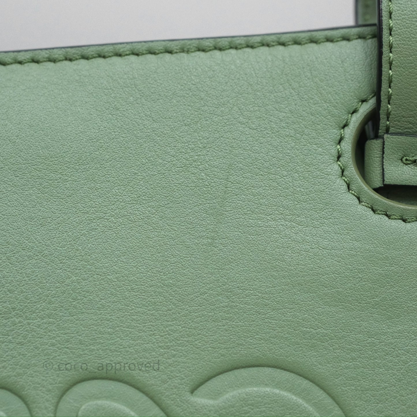 Loewe Small Anagram Tote In Rosemary Green Calfskin