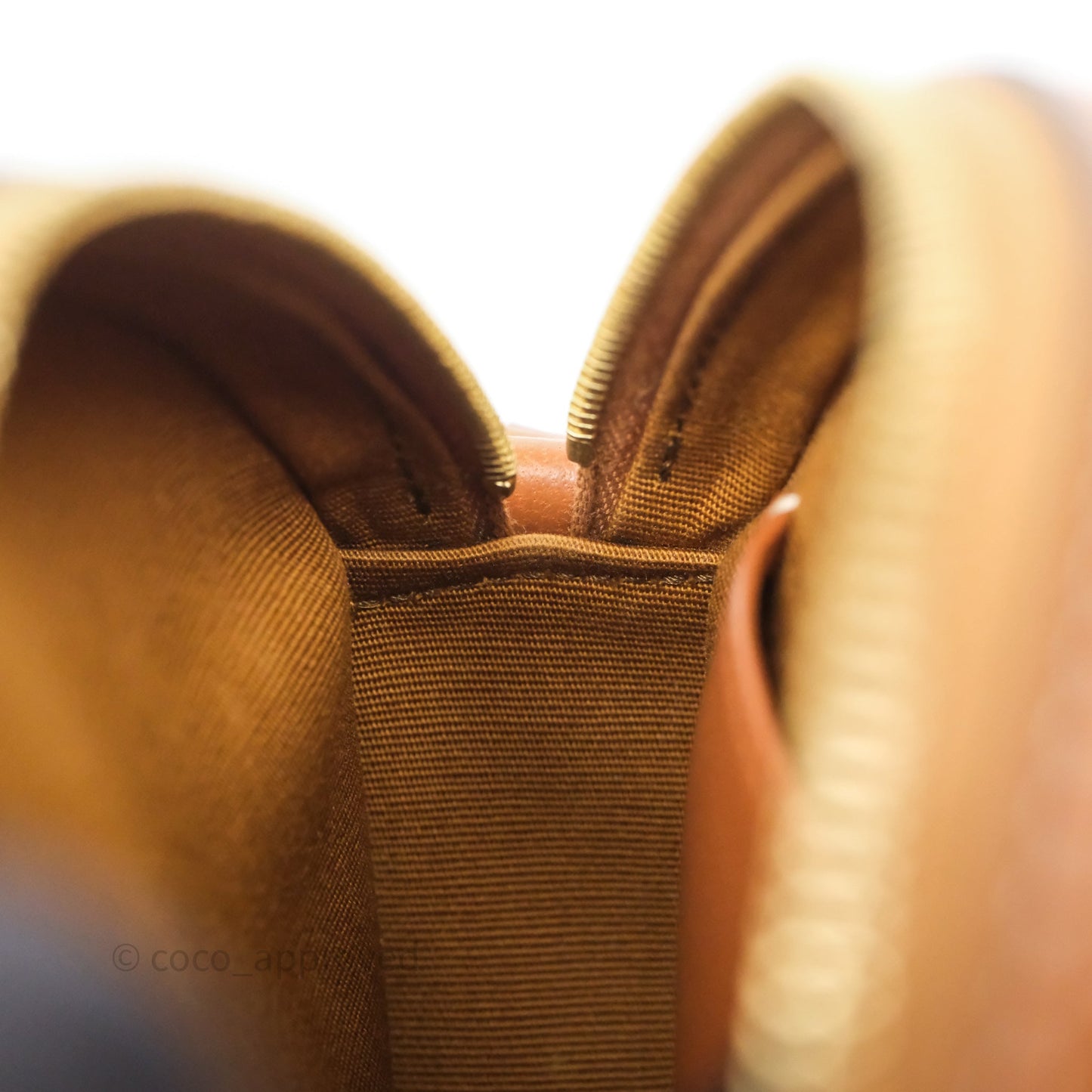 Celine Round Purse on Strap Triomphe Canvas Tan
