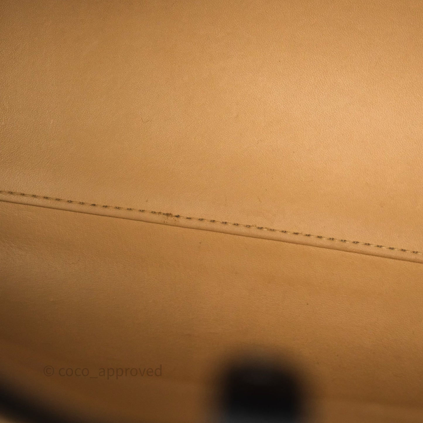 Delvaux Brillant L'Humour MM Black Calfskin