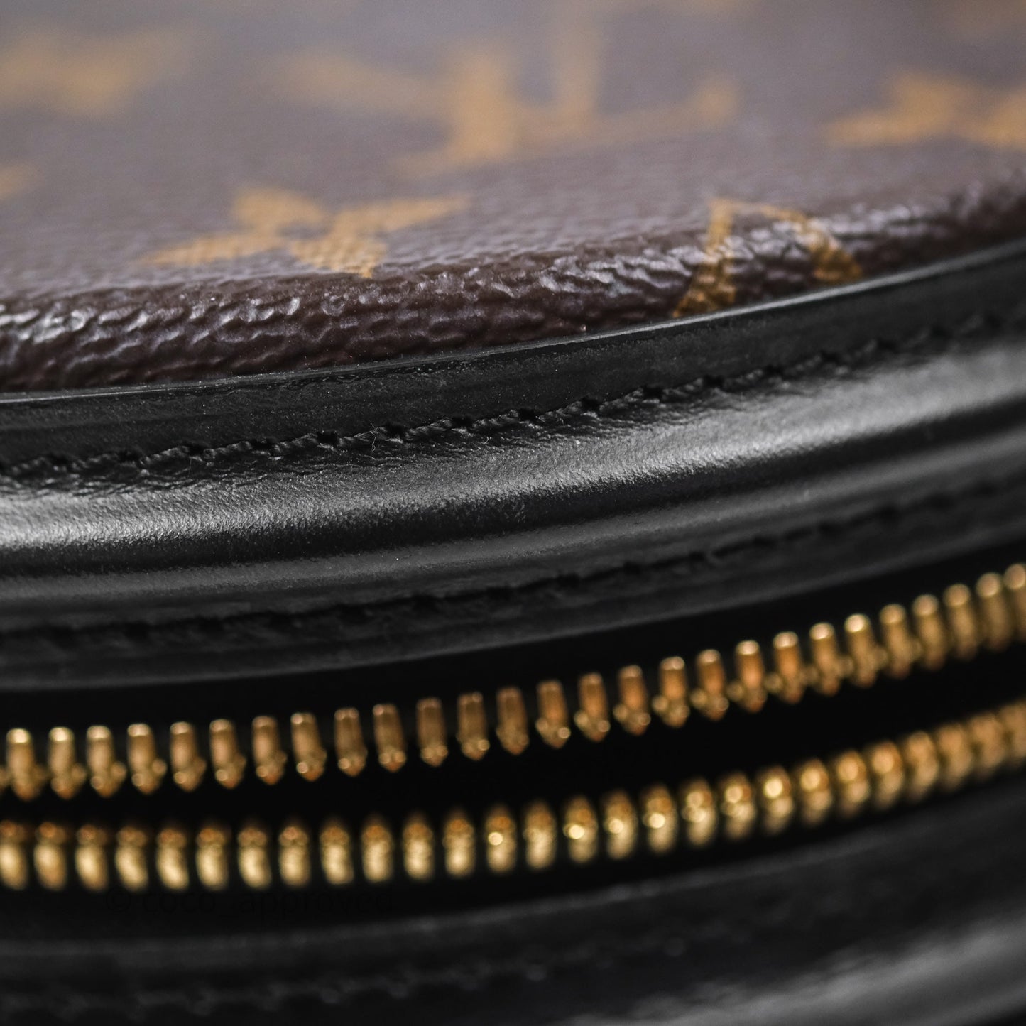 Louis Vuitton Monogram Canvas Reverse Cannes Bag