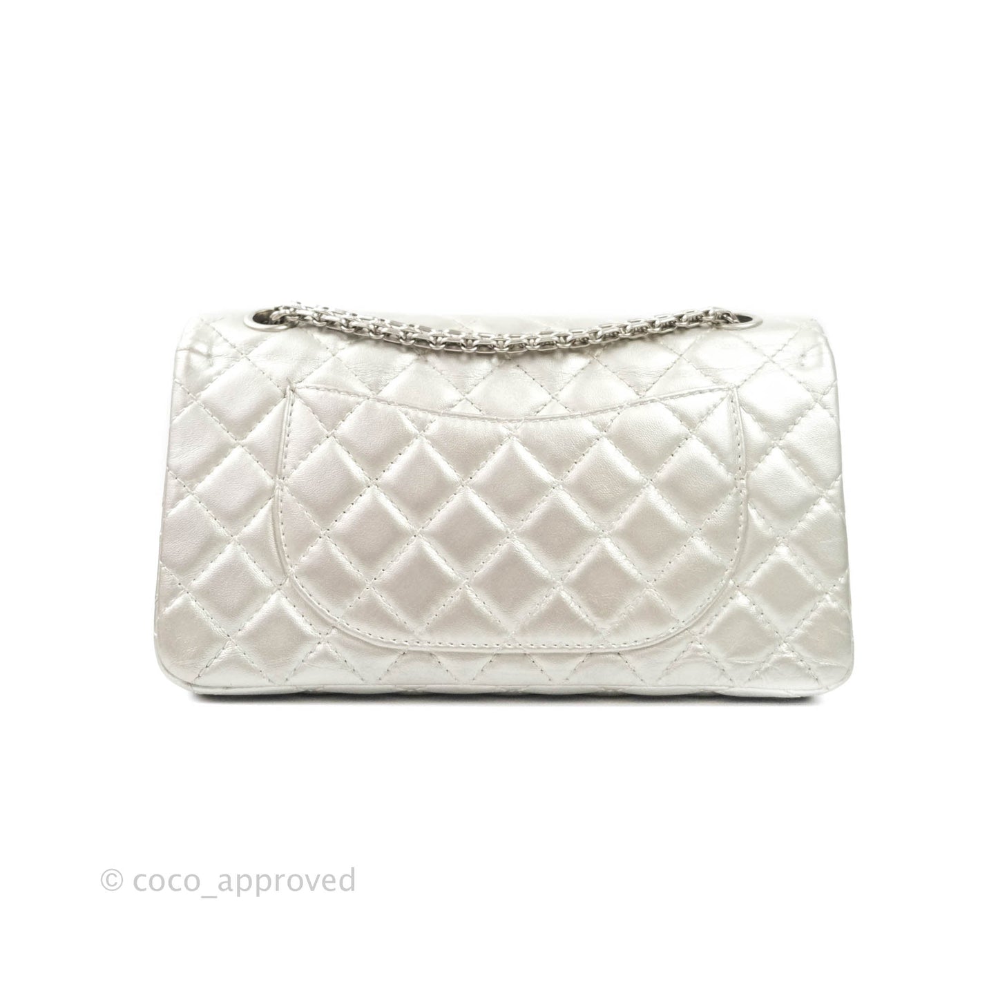 Chanel Reissue Quilted Aged Calfskin Metallic Silver Matte Silver Hardware 225