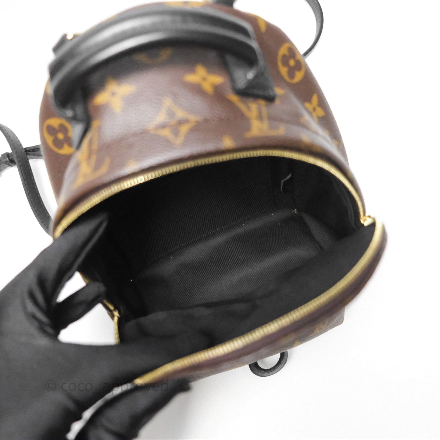 Louis Vuitton Monogram Mini Palm Springs Backpack⁣