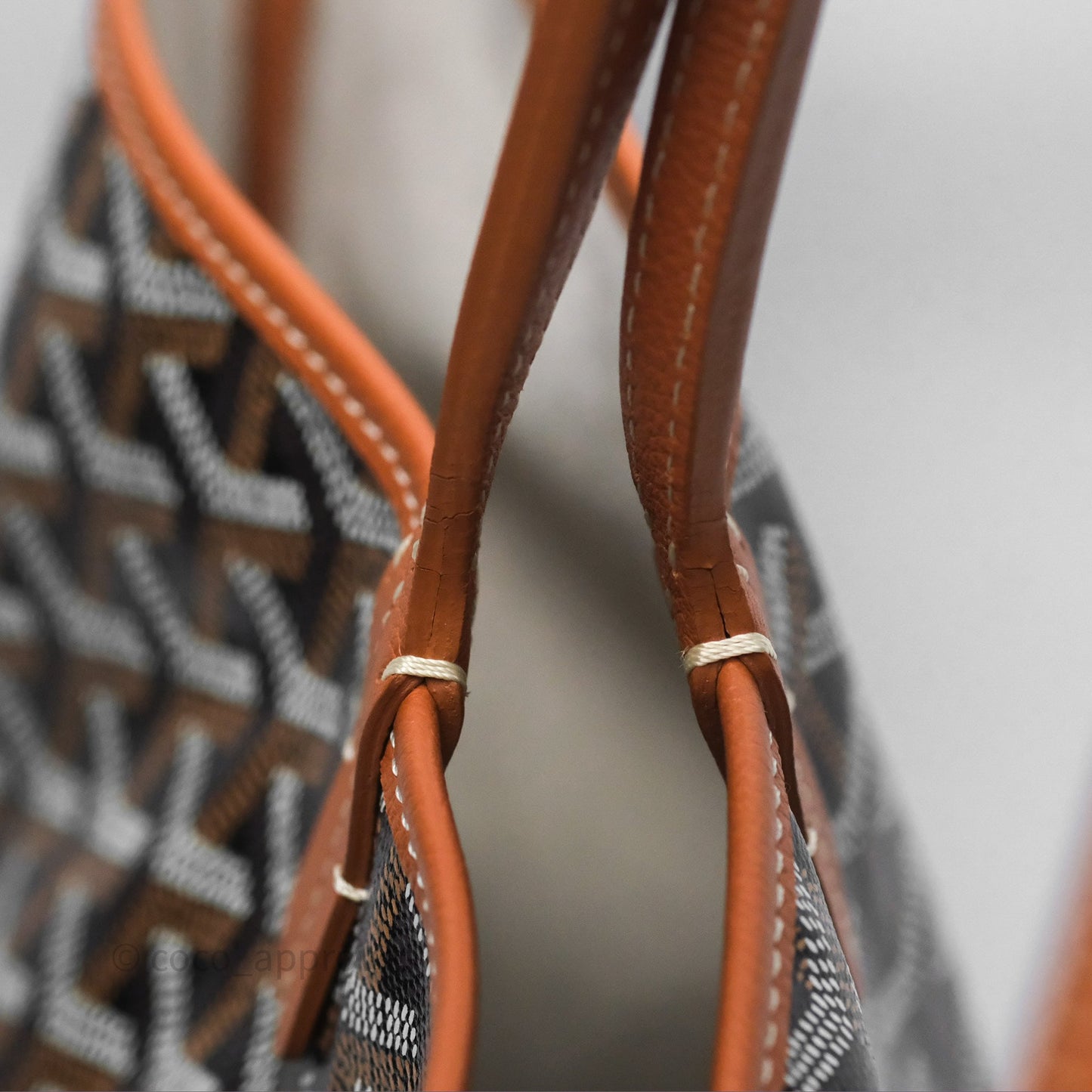 Goyard Saint Louis Tote PM⁣⁣⁣⁣⁣⁣⁣⁣⁣⁣⁣⁣⁣⁣⁣⁣⁣⁣⁣⁣ Black/Tan