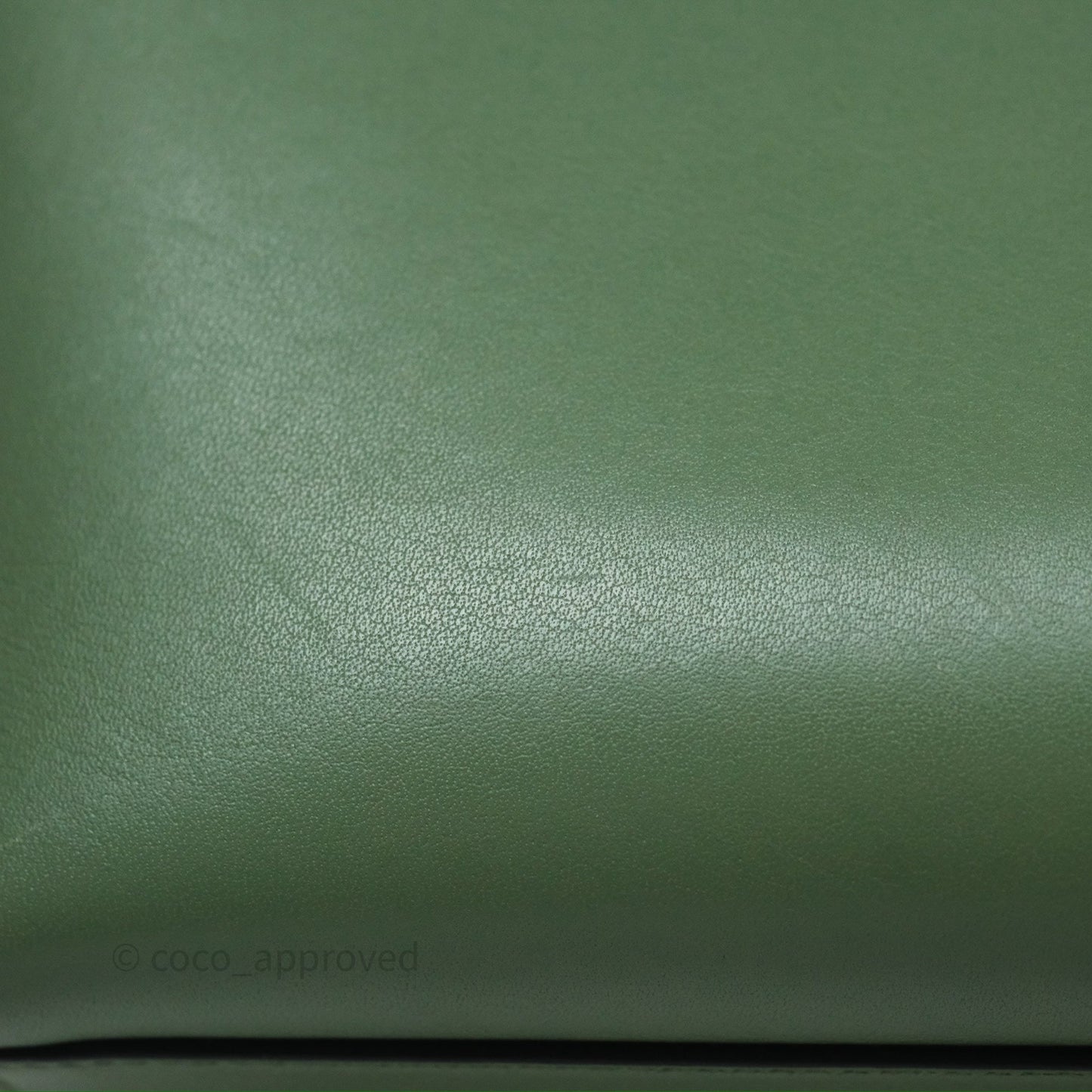 Loewe Small Anagram Tote In Rosemary Green Calfskin