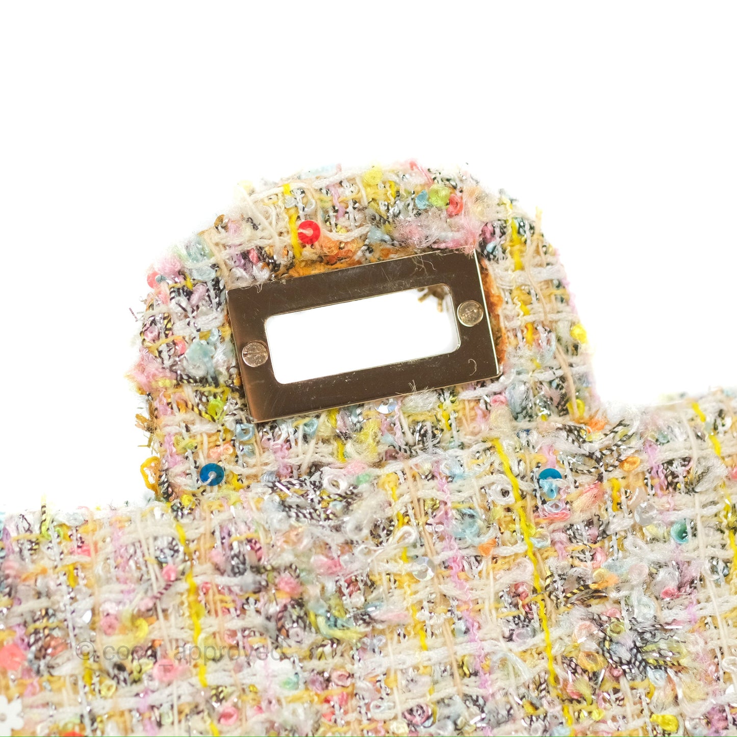 Chanel Reissue 225 Tweed Pastel Garden Party Flap