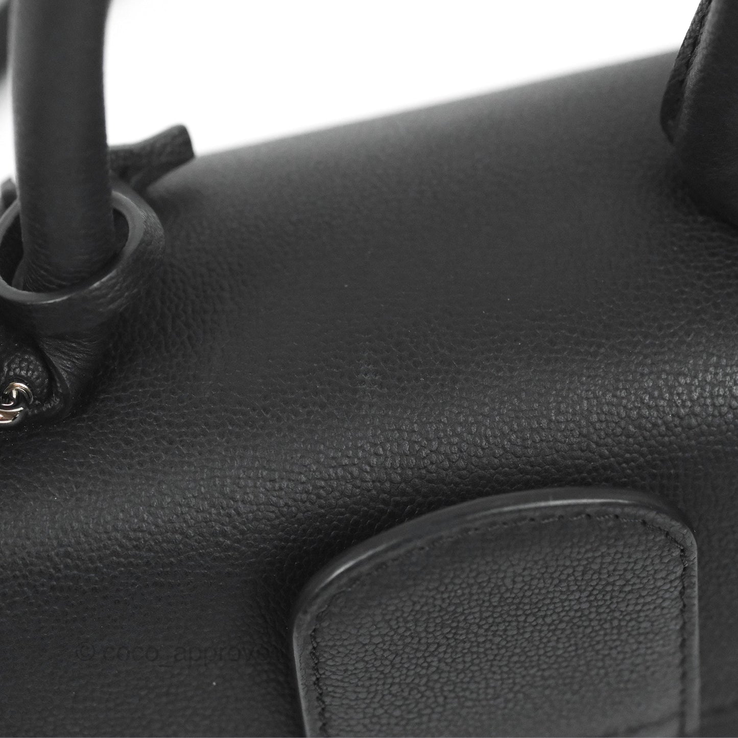 Delvaux Mini Brillant Bag Vegetal Rodeo Black Calf Silver Hardware