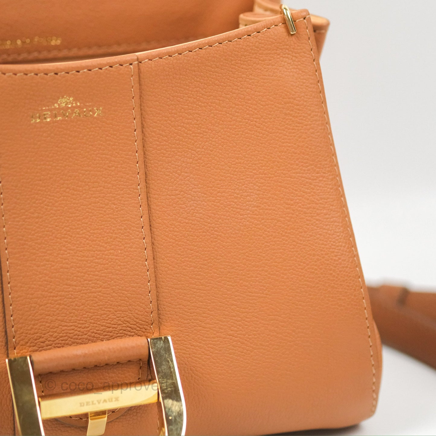 Delvaux Mini Brillant Bag Vegetal Rodeo Calf Gold Hardware