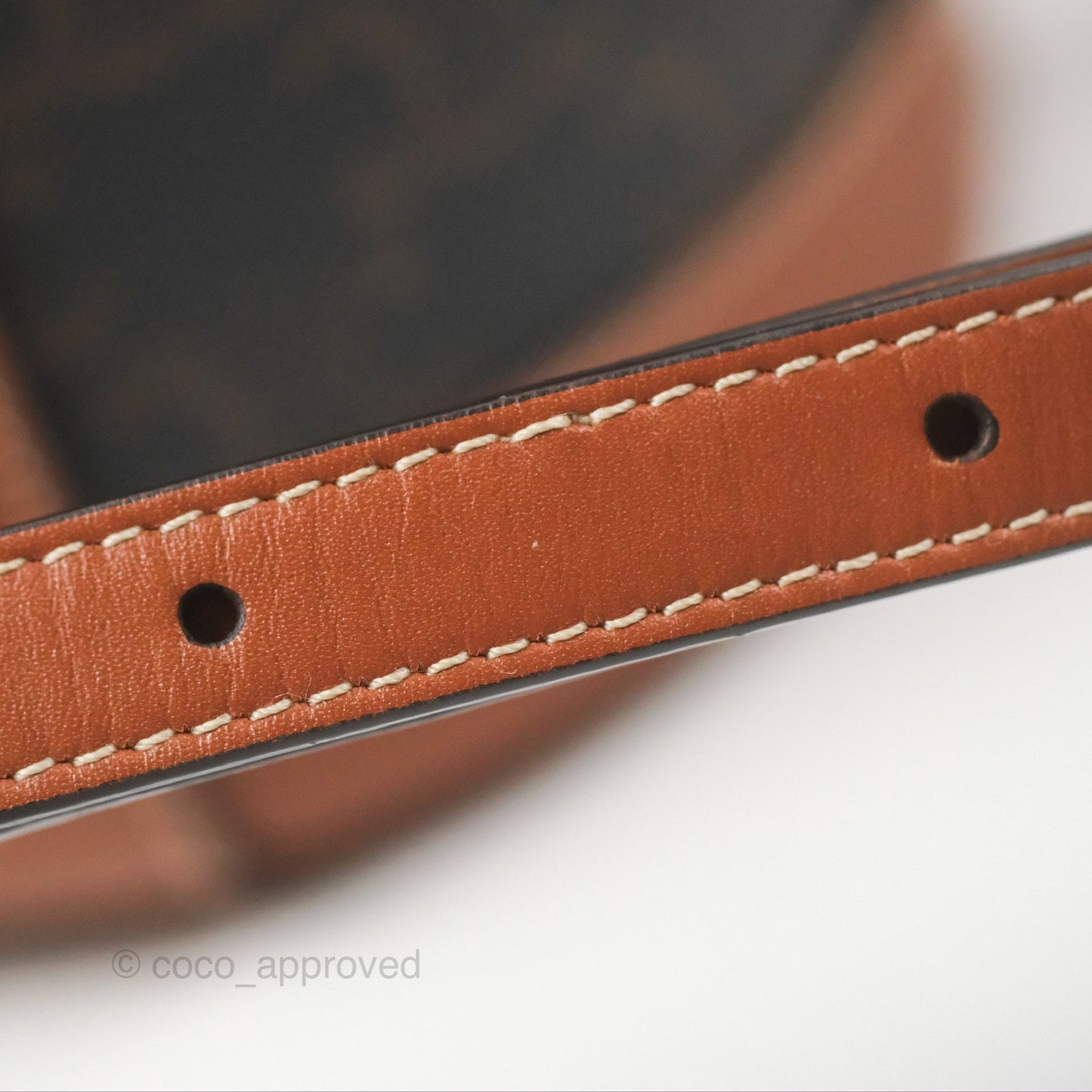 Celine Small Tambour Triomphe Canvas