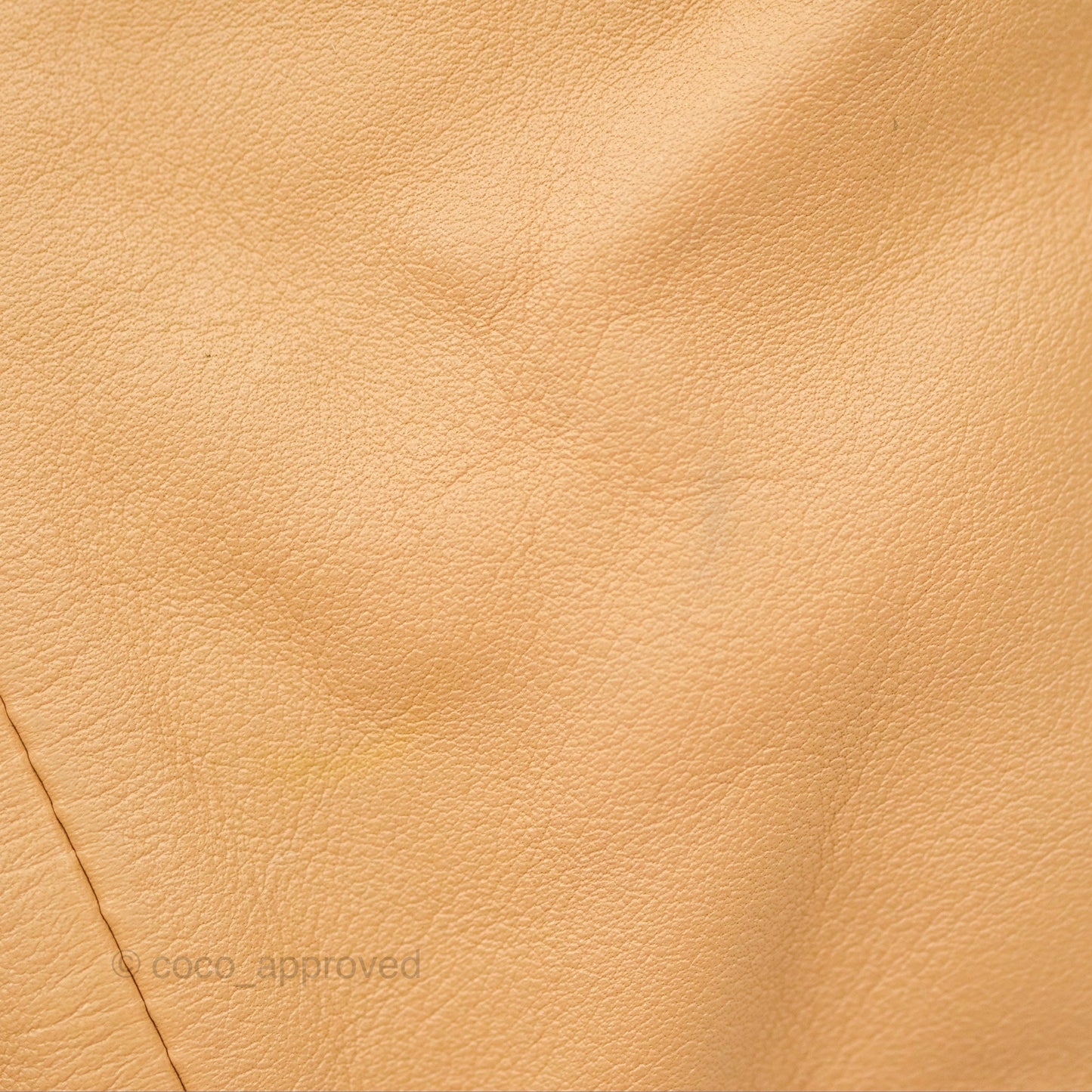 Bottega Veneta Teen Double Knot Hobo Almond Calfskin