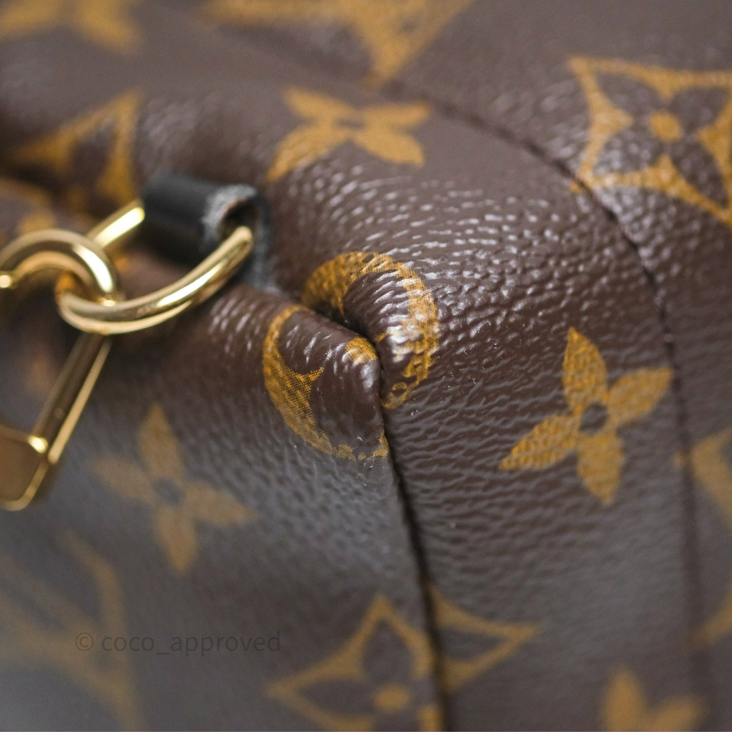 Louis Vuitton Monogram Mini Palm Springs Backpack⁣