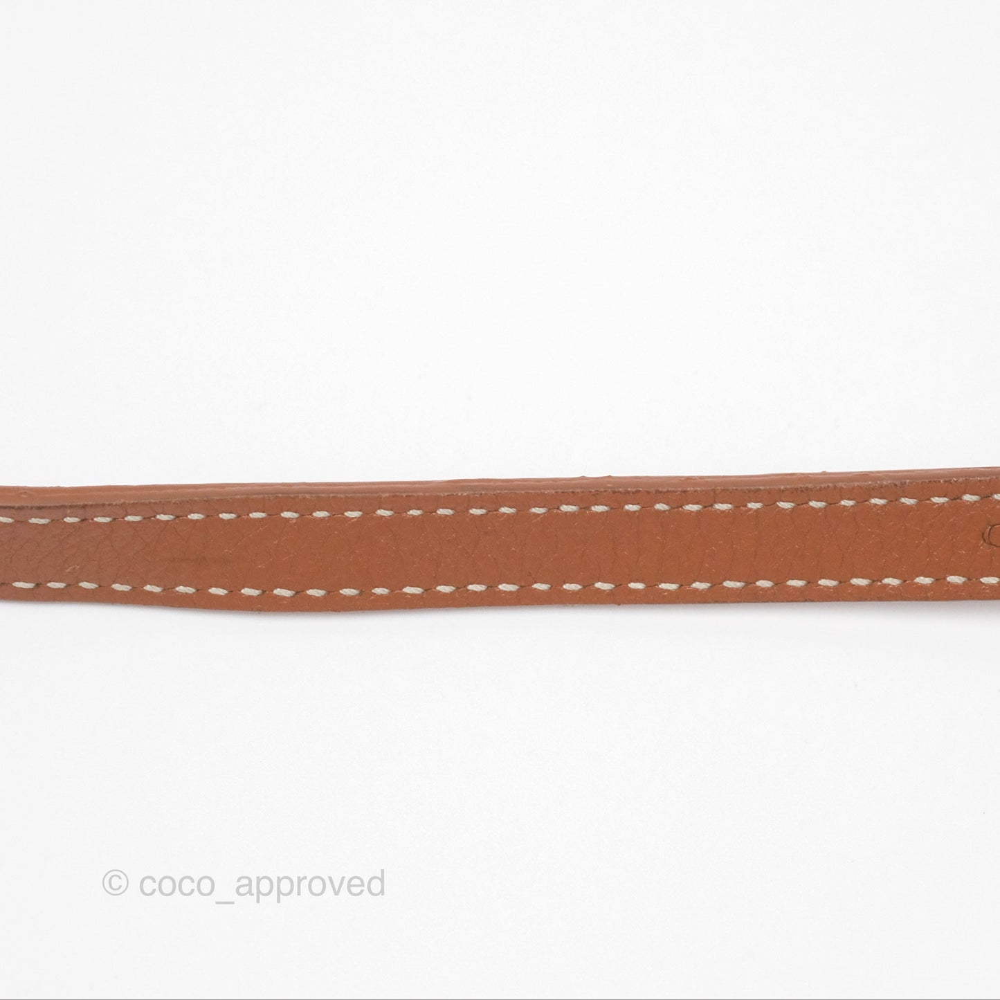 Goyard Saïgon Mini Bag Tan Goyardine Canvas/Chevroches Calfskin