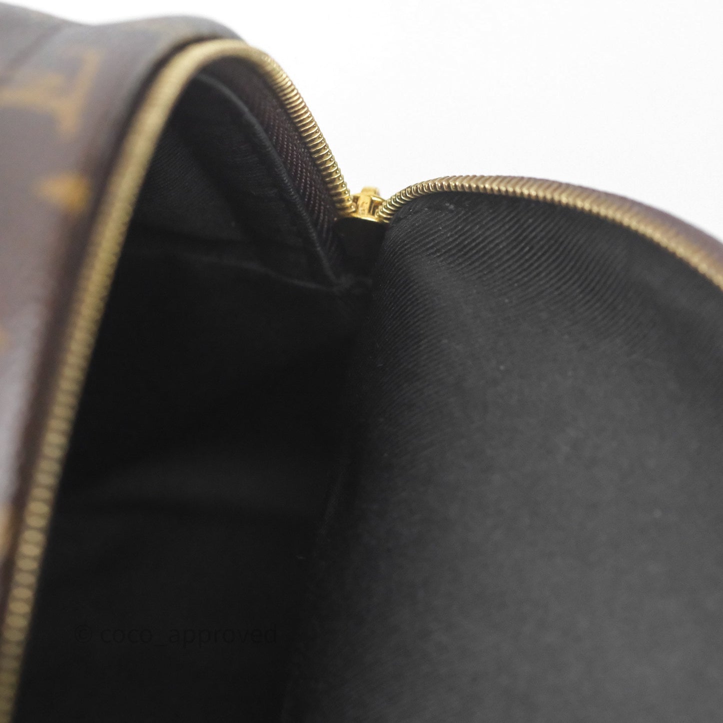 Louis Vuitton Mini Palm Springs Backpack⁣ Monogram
